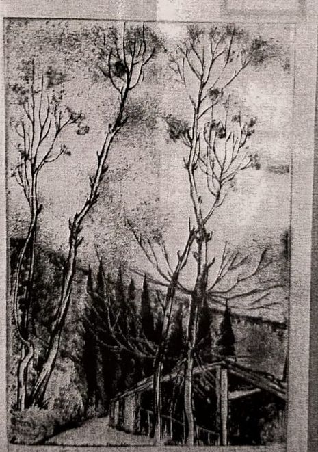 Alberi d'inverno, alberi (stampa) di Checchi Fettucciari Zena (attribuito) (sec. XX)