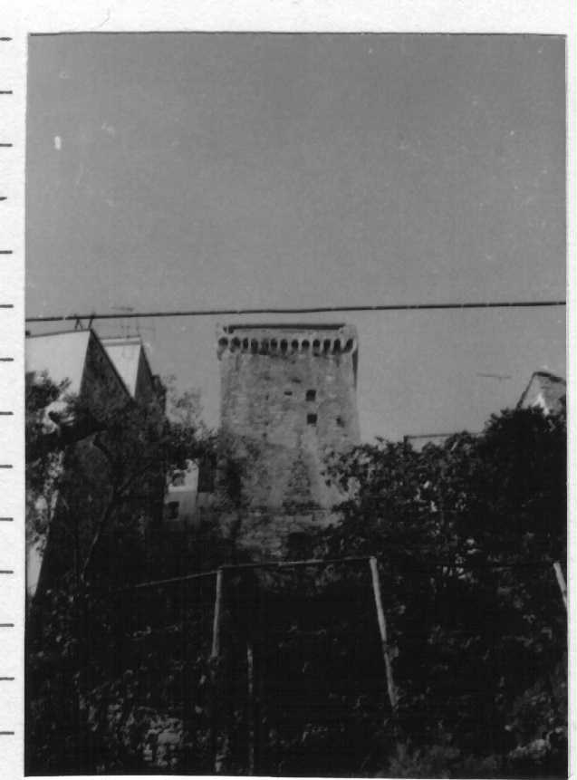 Torre di Barbarasa (torre, difensiva) - Pompeiana (IM)  (XV)