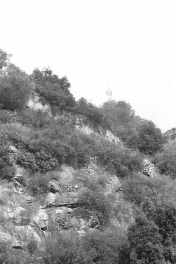 Campomarzio e Castel S. Giorgio (fortezza, privata) - Taggia (IM)  (VII)