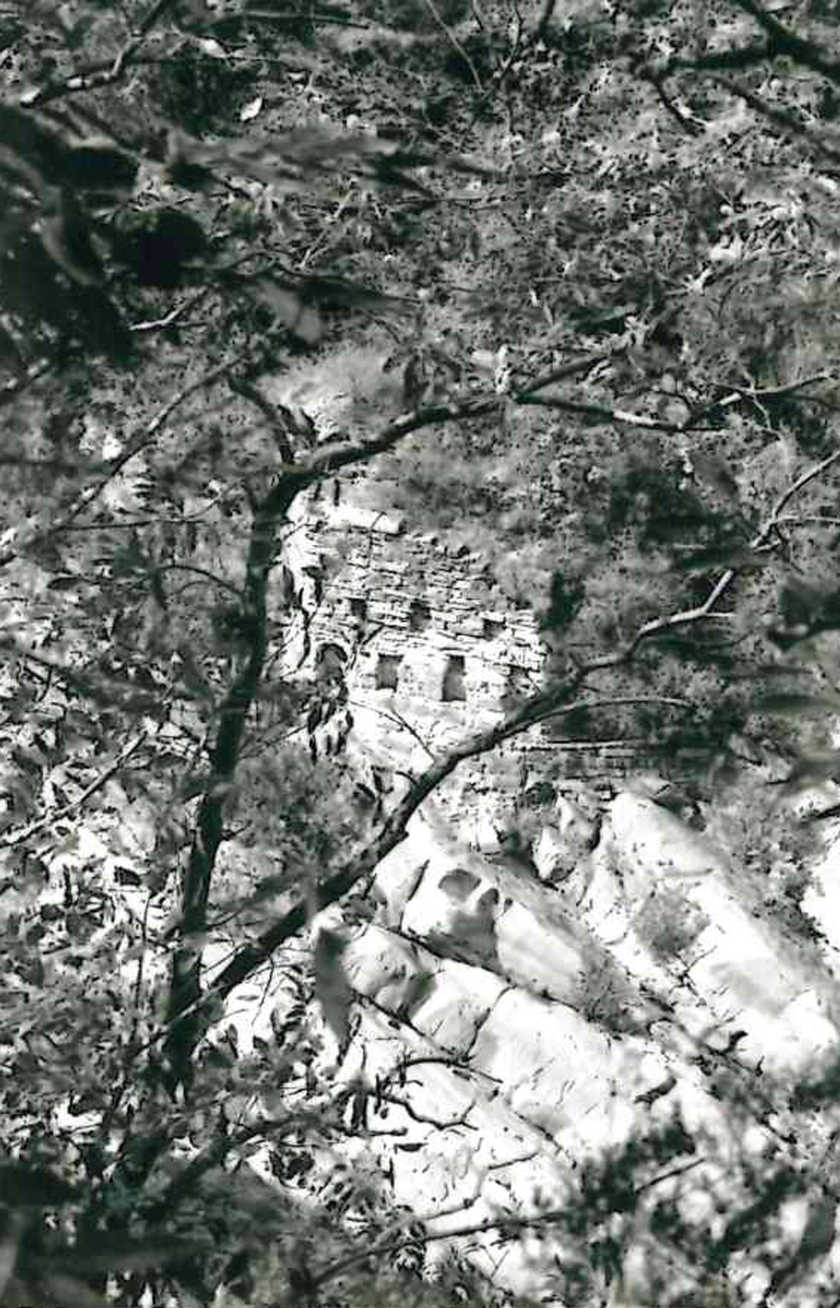 Ponte della Canaglia (ponte) - Taggia (IM)  (IX)