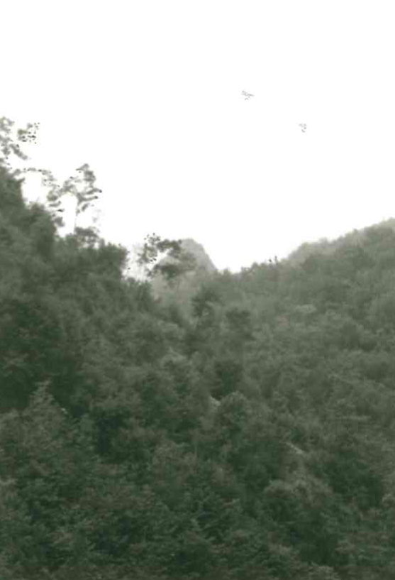 Castello di Lagorara (castello, difensivo) - Maissana (SP)  (XVI)