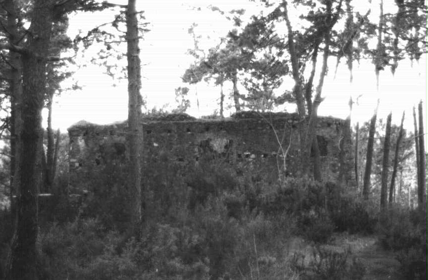 Castello del Conte di Passano (castello, difensivo) - Deiva Marina (SP)  (XI)