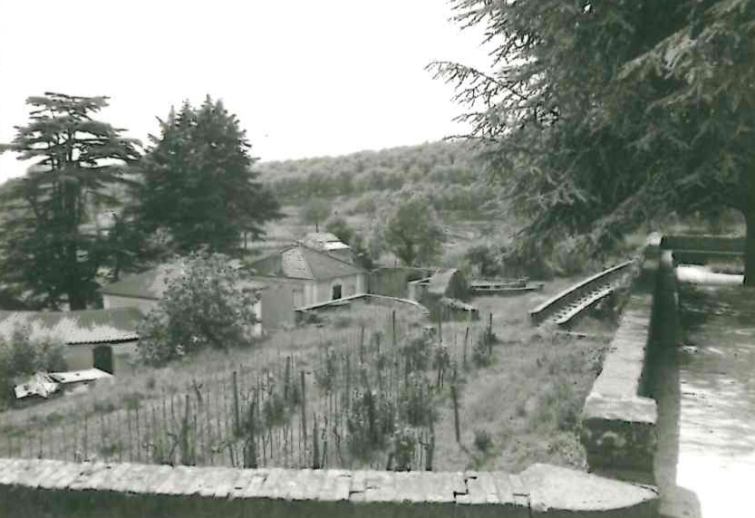 Giardino Durazzo (giardino, nobiliare) - Sestri Levante (GE)  (XVII)