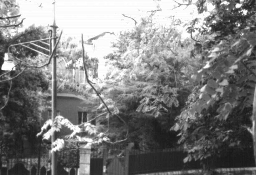 Villa ex Raggio o delle Sirene (villa, patrizia) - Genova (GE) 