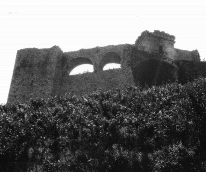 Castello di Trebiano (castello, difensivo) - Arcola (SP)  (XIV)