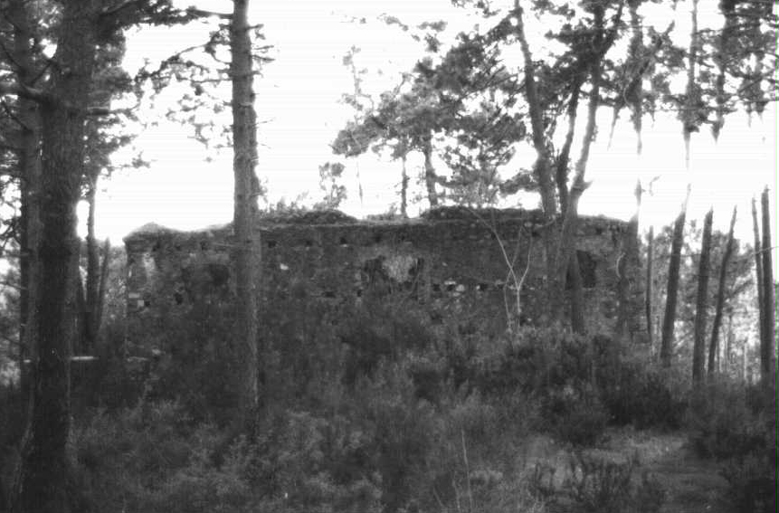 Castello dei Da Passano (castello, difensivo) - Deiva Marina (SP)  (XVII)