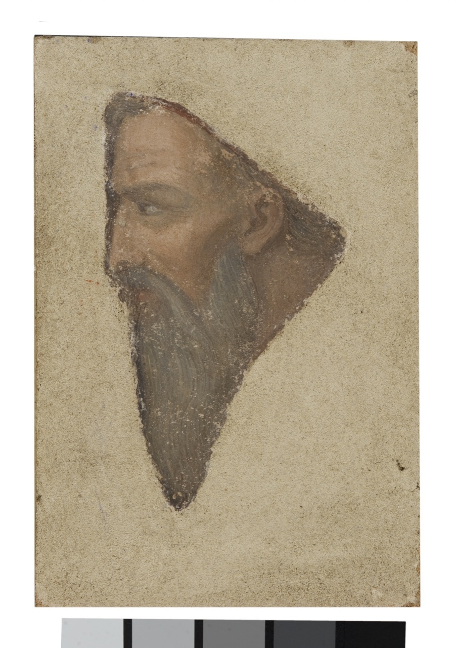 profilo di figura barbuta (dipinto murale staccato, frammento) di Marini Antonio (sec. XIX)