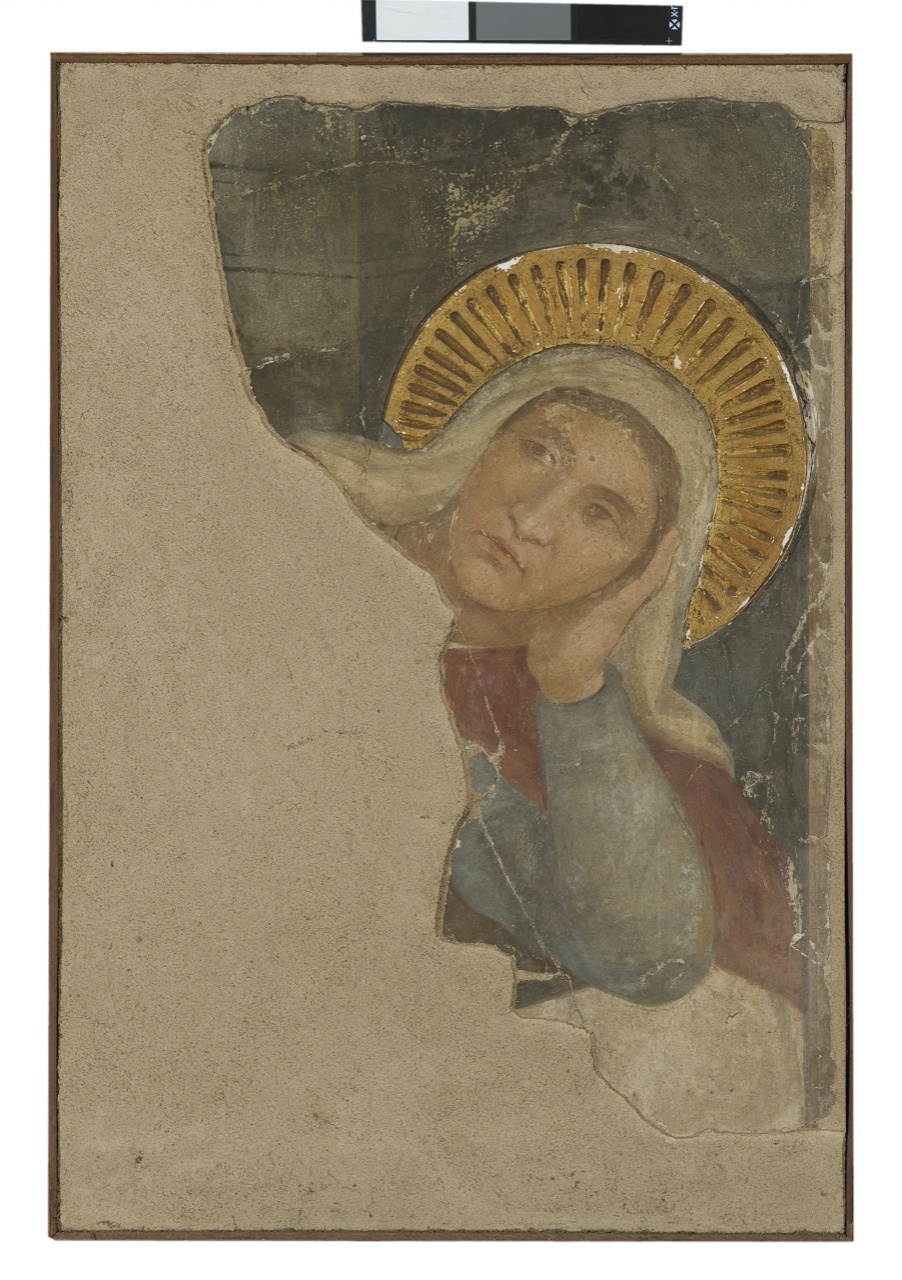 volto di Santa Elisabetta (dipinto murale staccato, frammento) di Pezzati Pietro (sec. XIX)