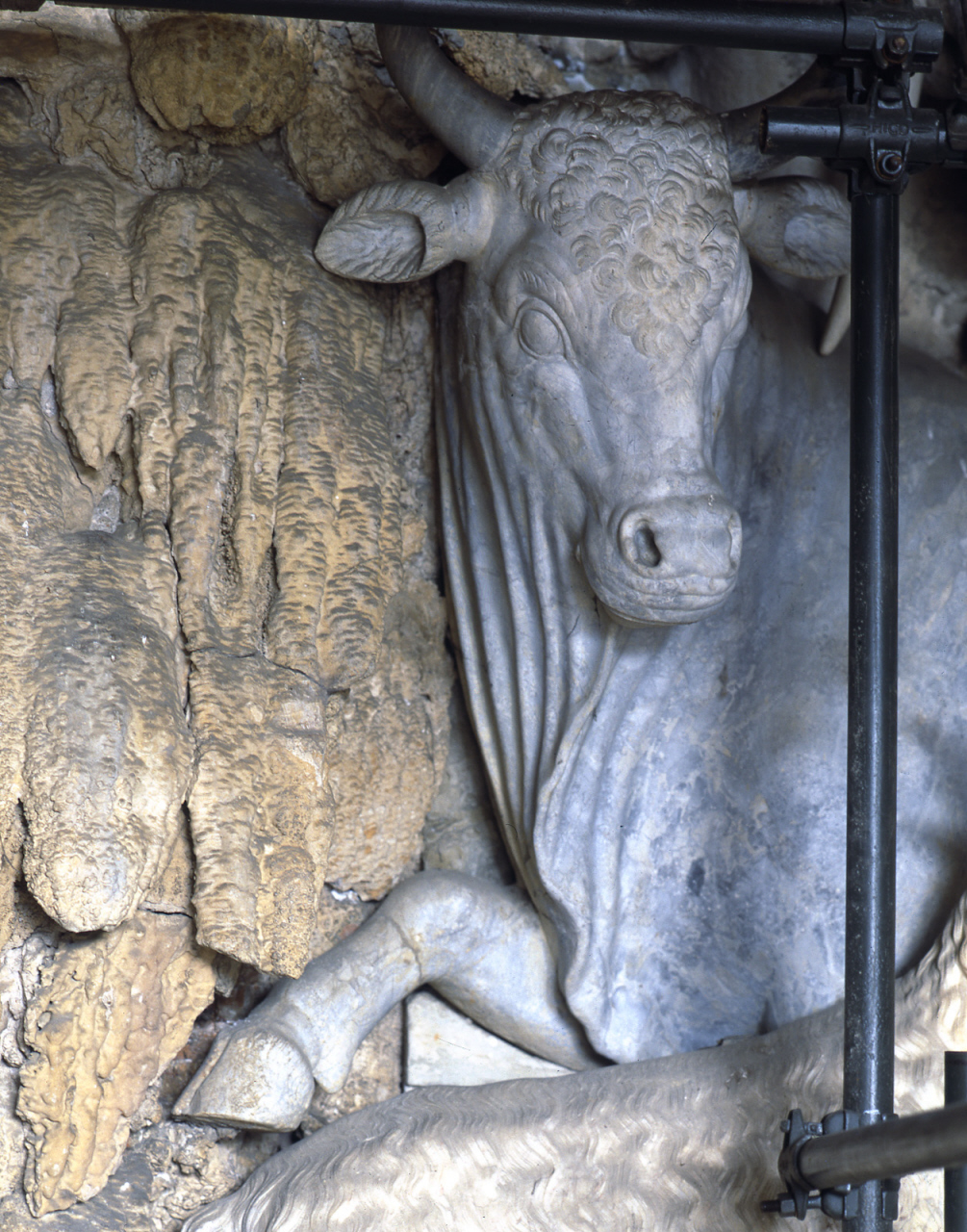 toro (scultura) di Pericoli Niccolò detto Tribolo (cerchia) (sec. XVI)