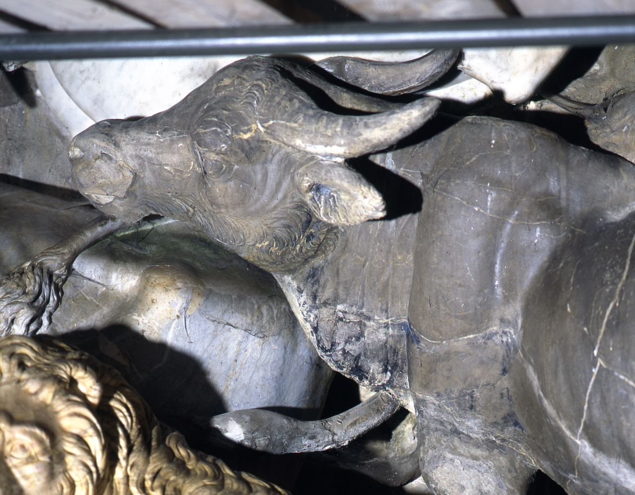 bufalo (scultura) di Pericoli Niccolò detto Tribolo (cerchia) (sec. XVI)