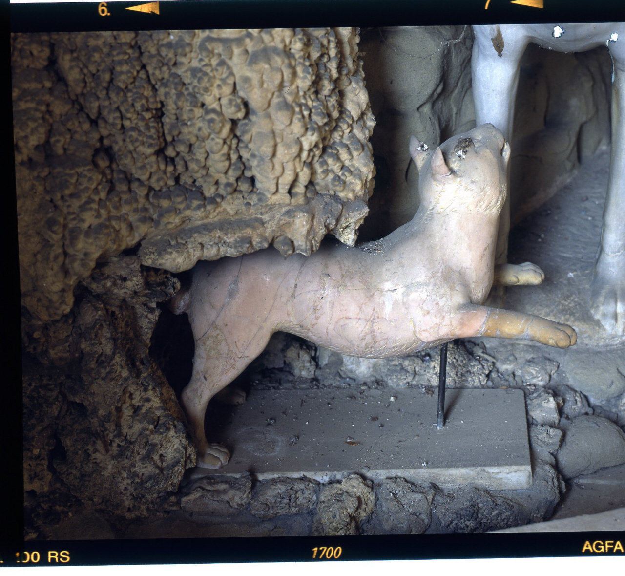 gatto (scultura) di Pericoli Niccolò detto Tribolo (cerchia) (sec. XVI)