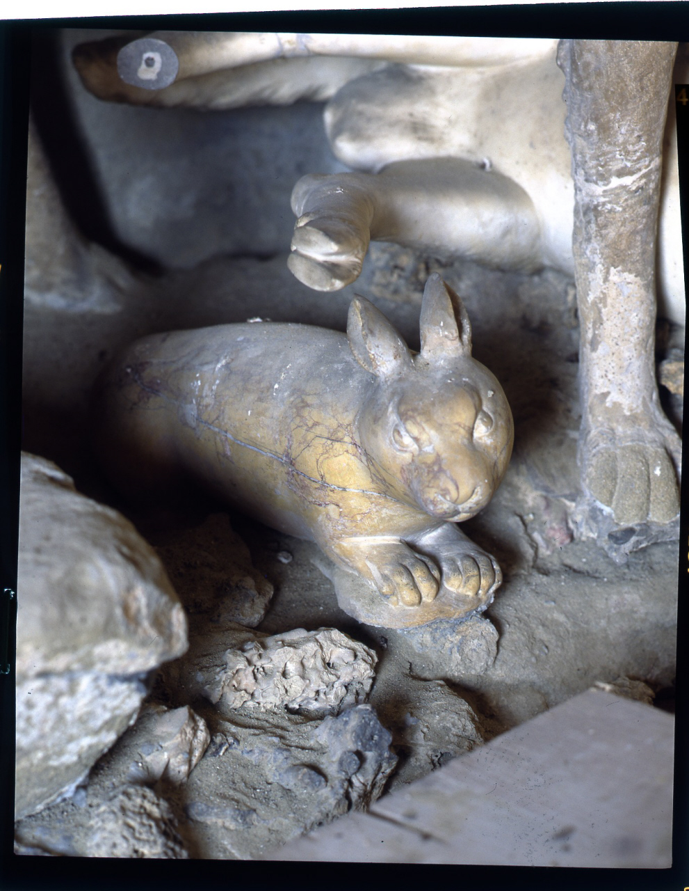 coniglio (scultura) di Pericoli Niccolò detto Tribolo (cerchia) (sec. XVI)