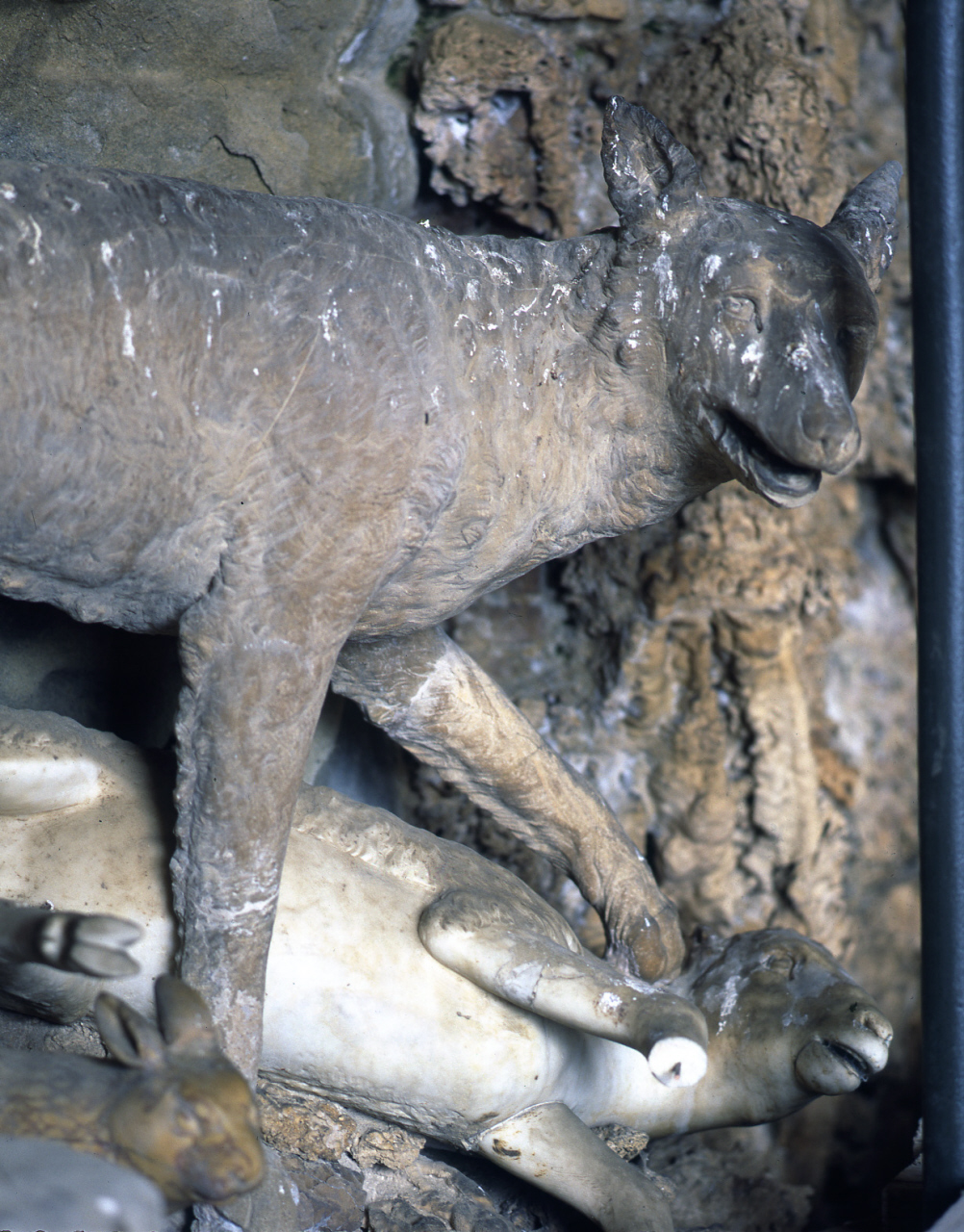 lupo (scultura) di Pericoli Niccolò detto Tribolo (cerchia) (sec. XVI)