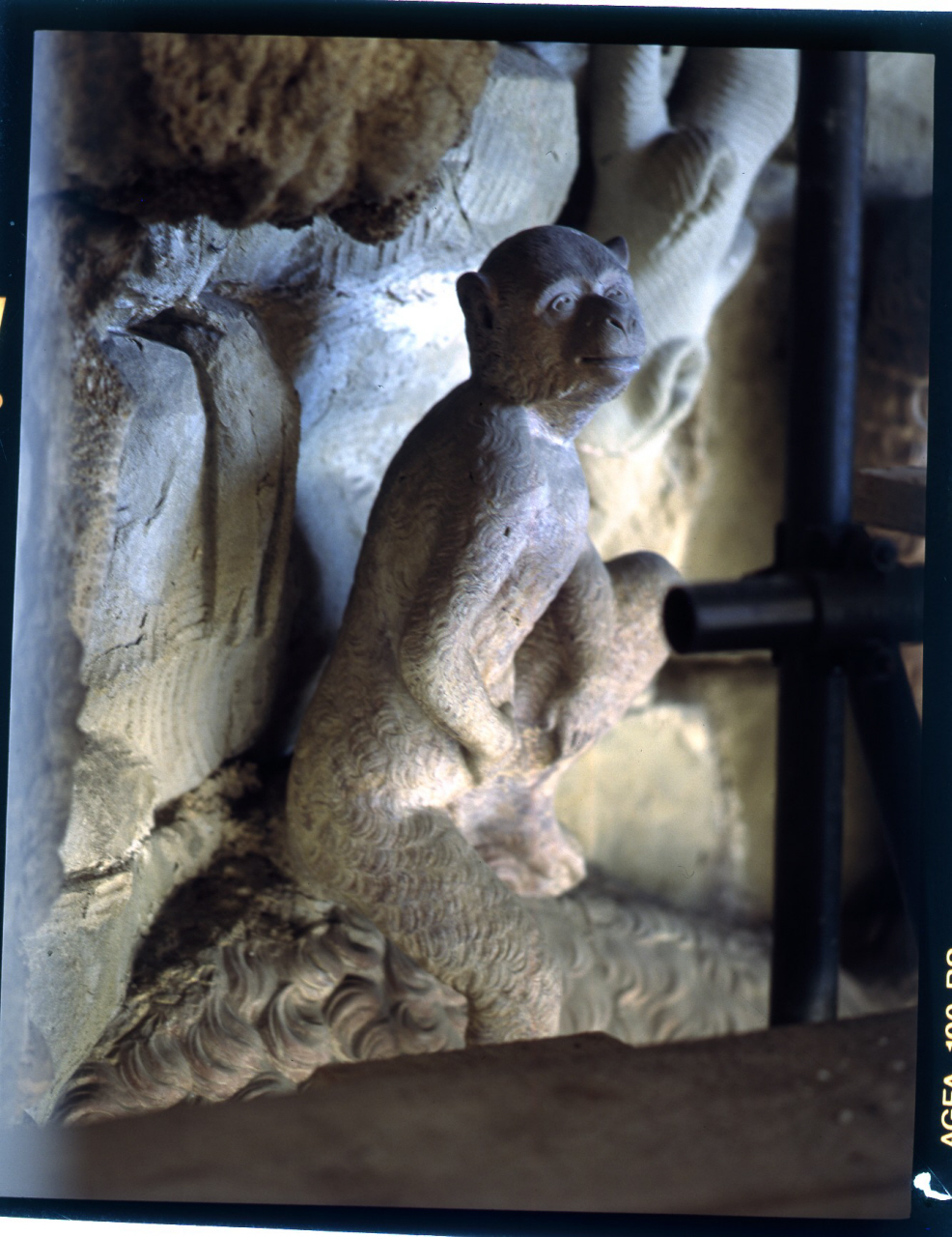 scimmia (scultura) di Pericoli Niccolò detto Tribolo (cerchia) (sec. XVI)