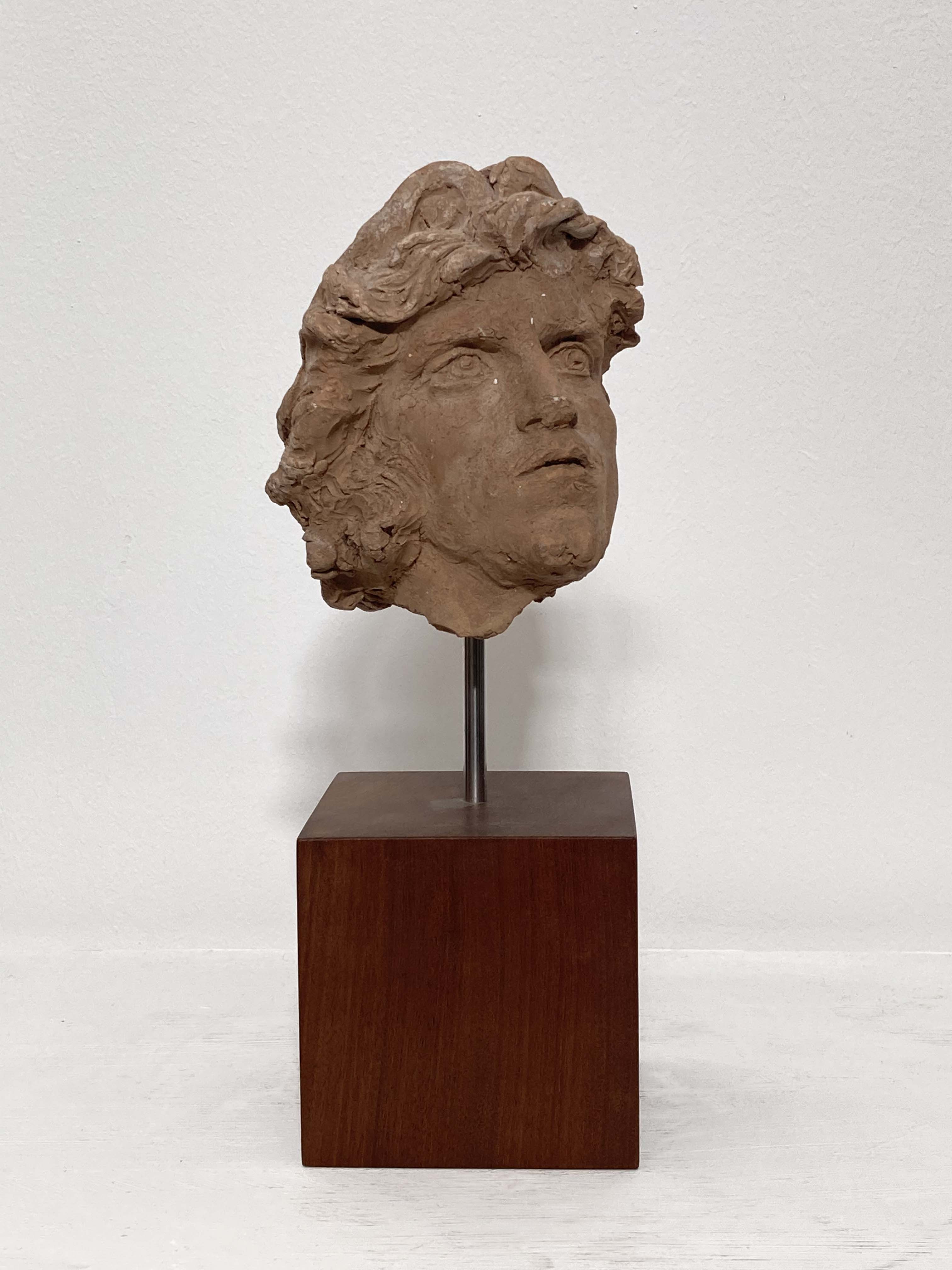 Bruzio, Testa maschile (scultura, opera isolata) di Jerace Francesco - ambito Italia meridionale (prima metà XX)