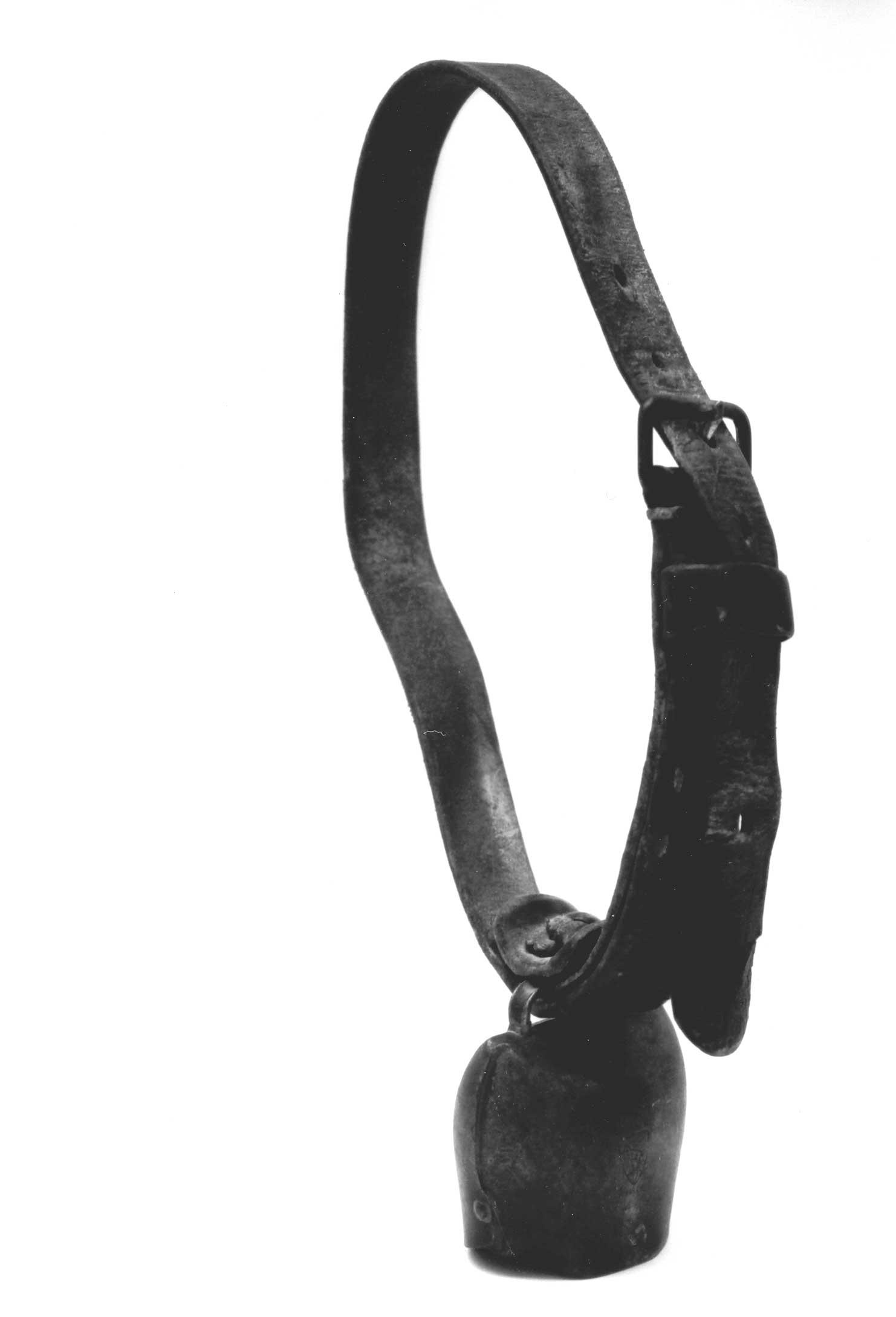 campana di pecuri (campanaccio, per ovini, STRUMENTI E ACCESSORI/ AGRO-SILVO-PASTORALI) di n.d (bottega) - manifattura niscemese