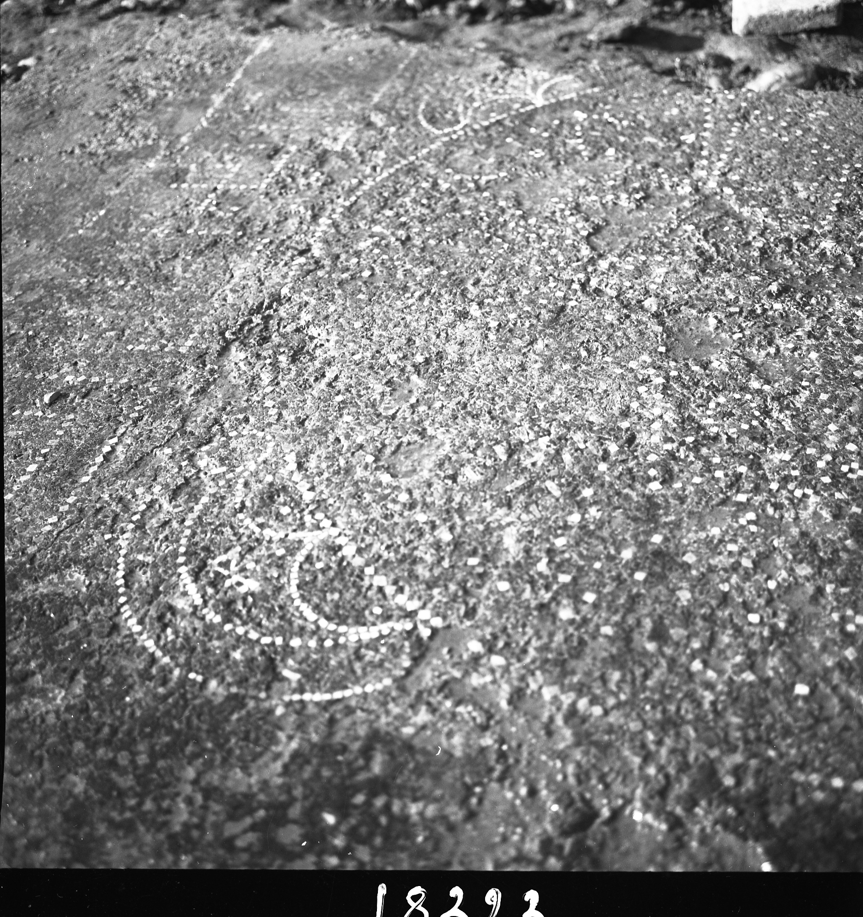 Sarsina (lastra) di Anonimo (seconda metà XX)