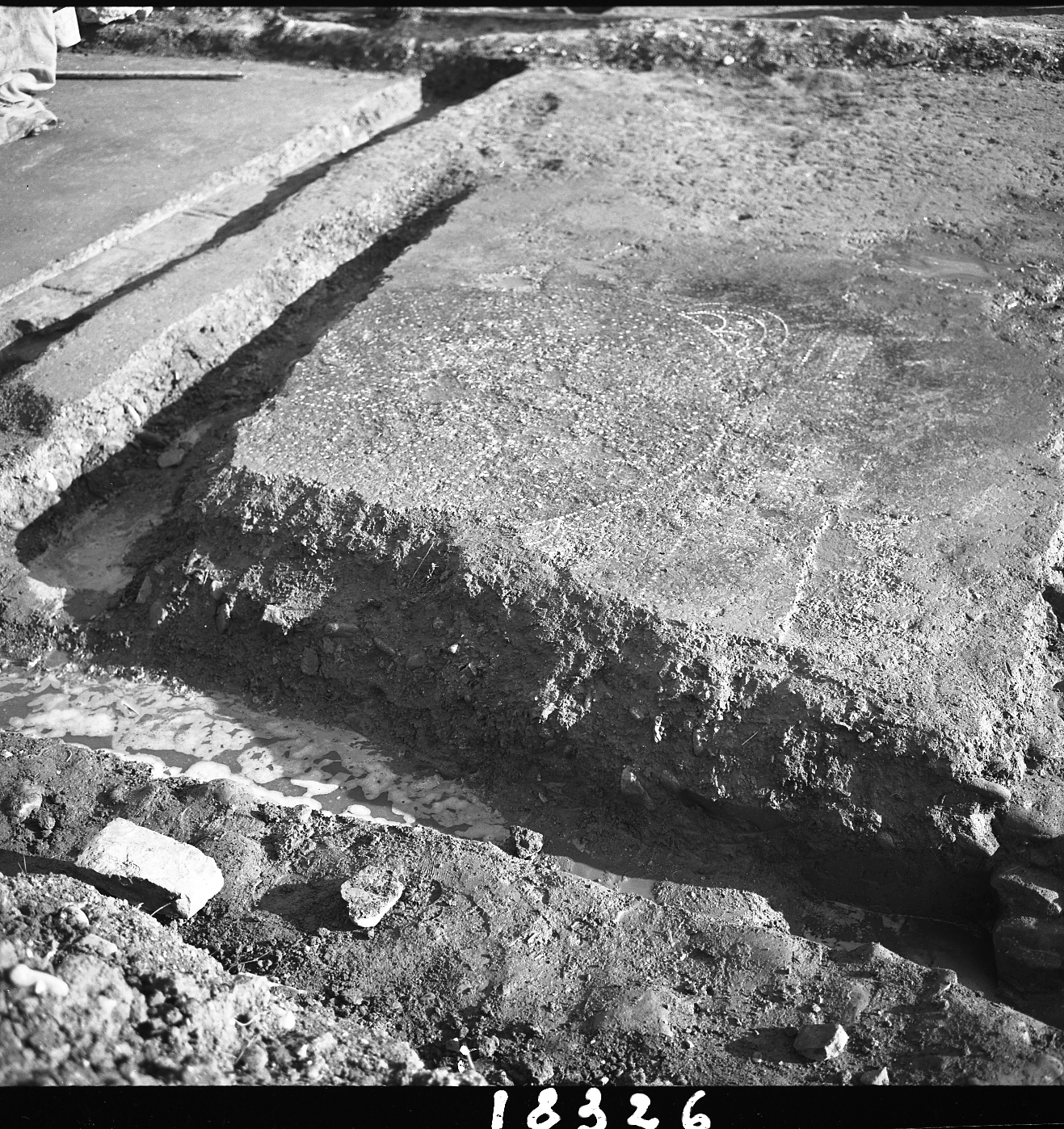 Sarsina (lastra) di Anonimo (seconda metà XX)