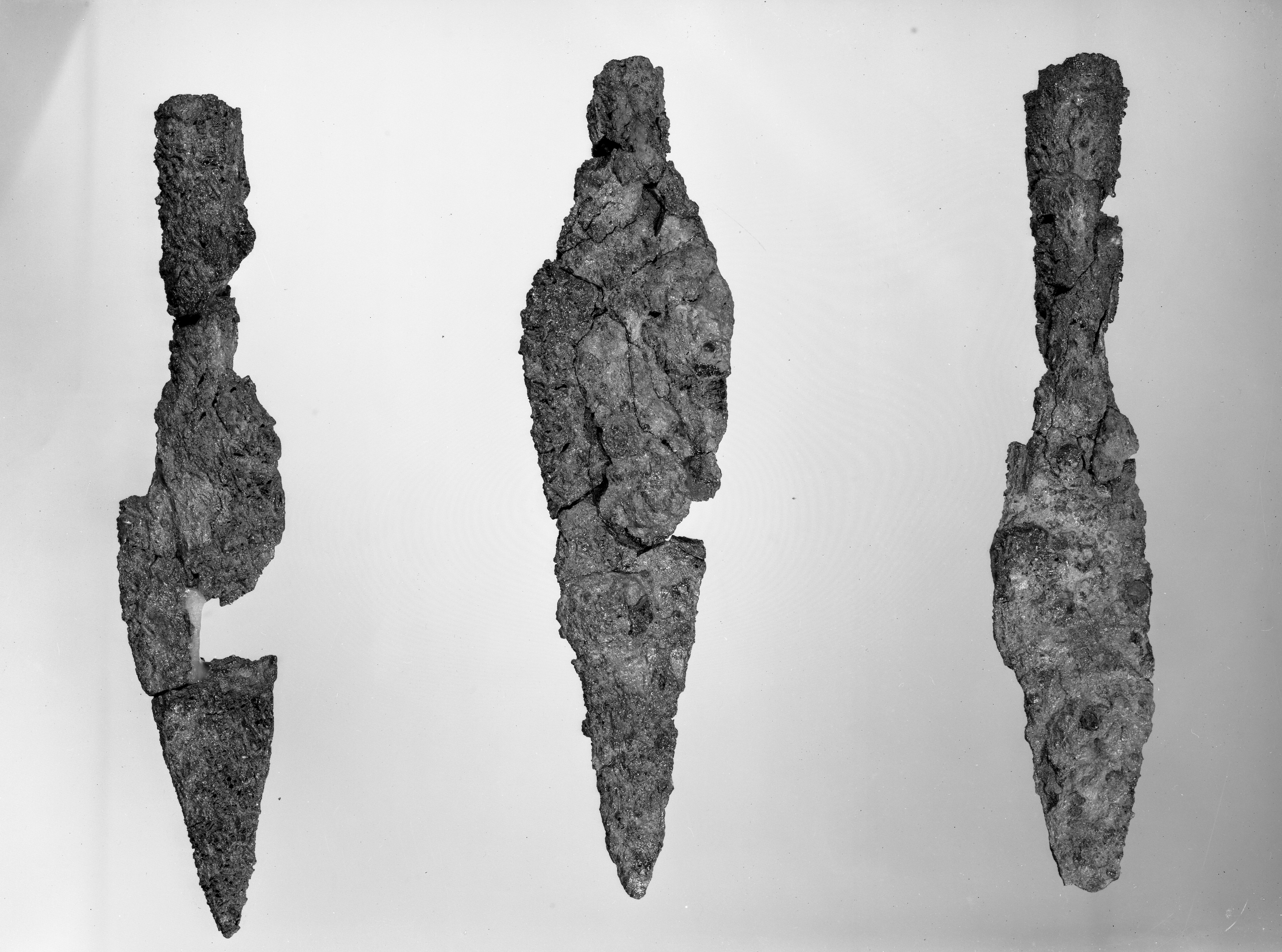 S. Martino in Gattara (RA) (lastra) di Anonimo (seconda metà XX)