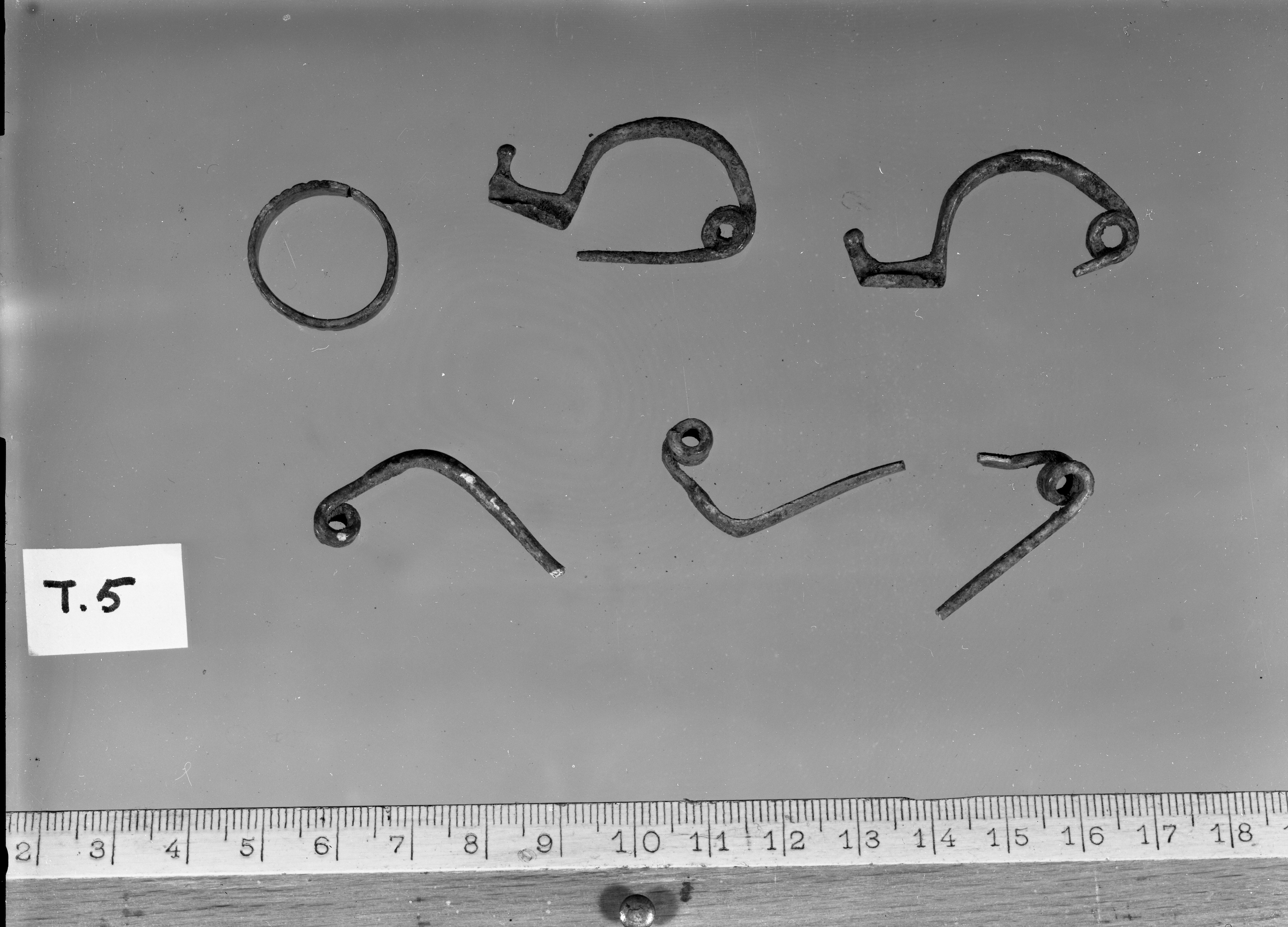 S. Martino in Gattara (RA) (lastra) di Anonimo (seconda metà XX)