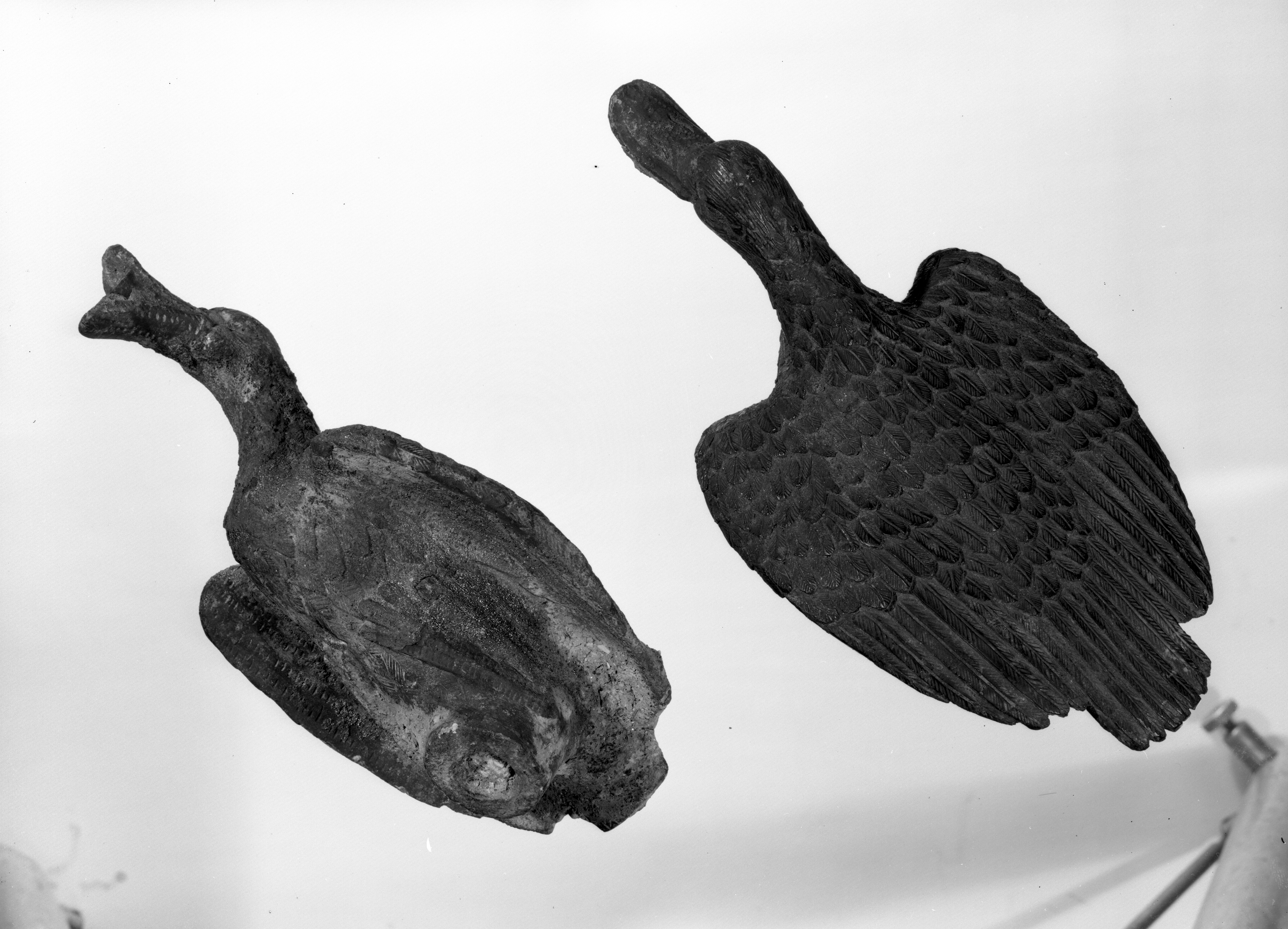 ? (lastra) di Anonimo (seconda metà XX)