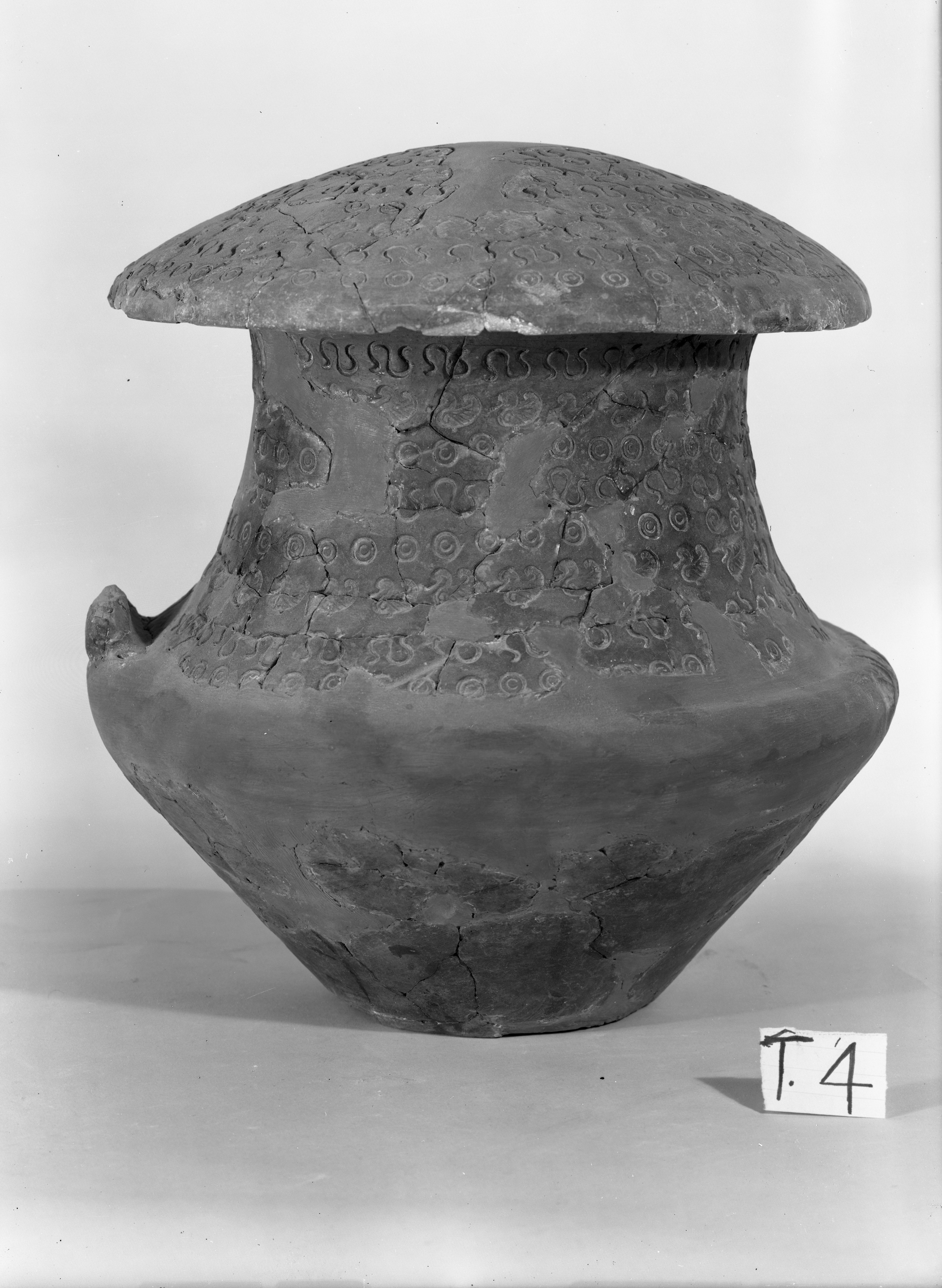 Bologna. Via Zucchi (lastra) di Anonimo (seconda metà XX)