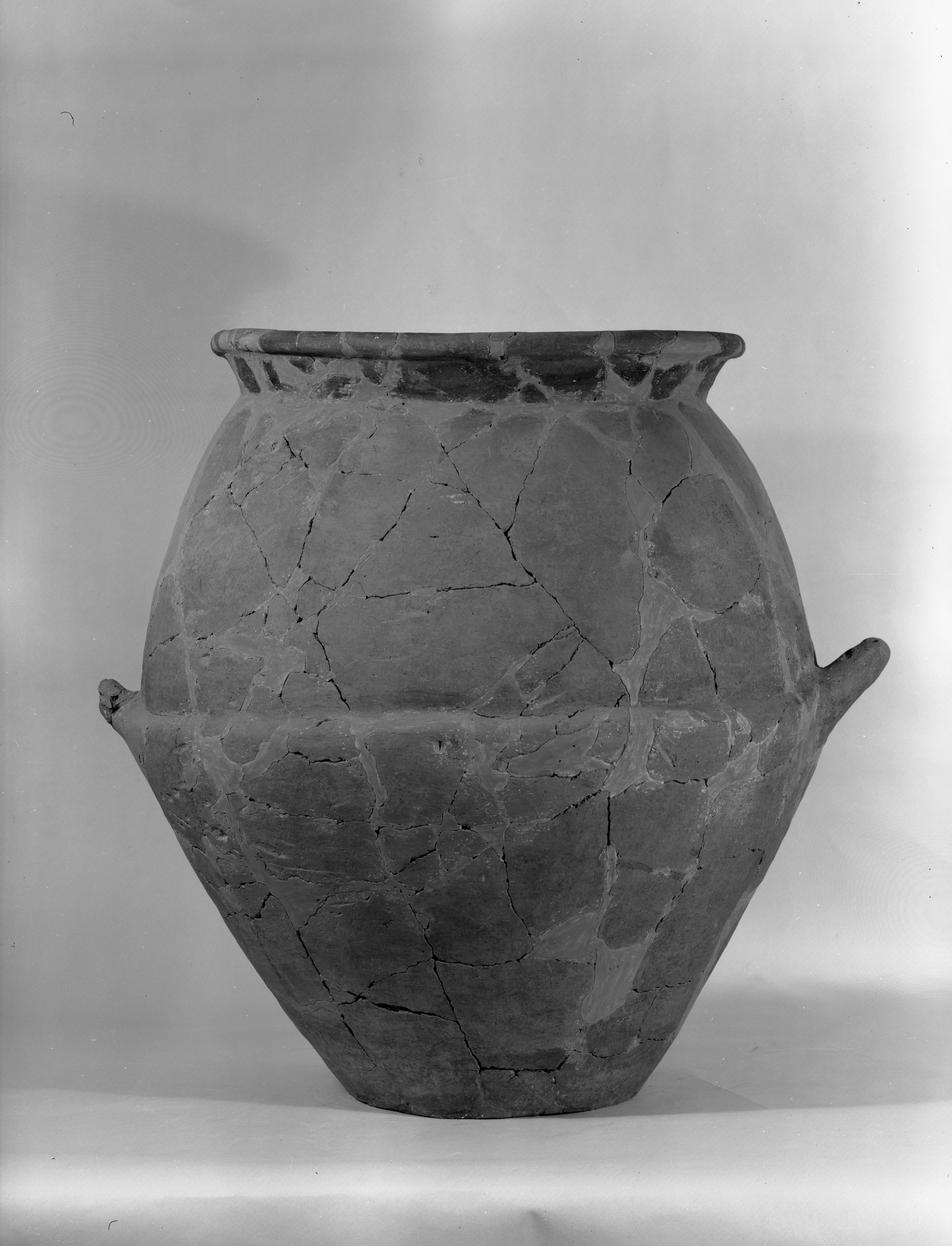 Bologna. Via Zucchi (lastra) di Anonimo (seconda metà XX)