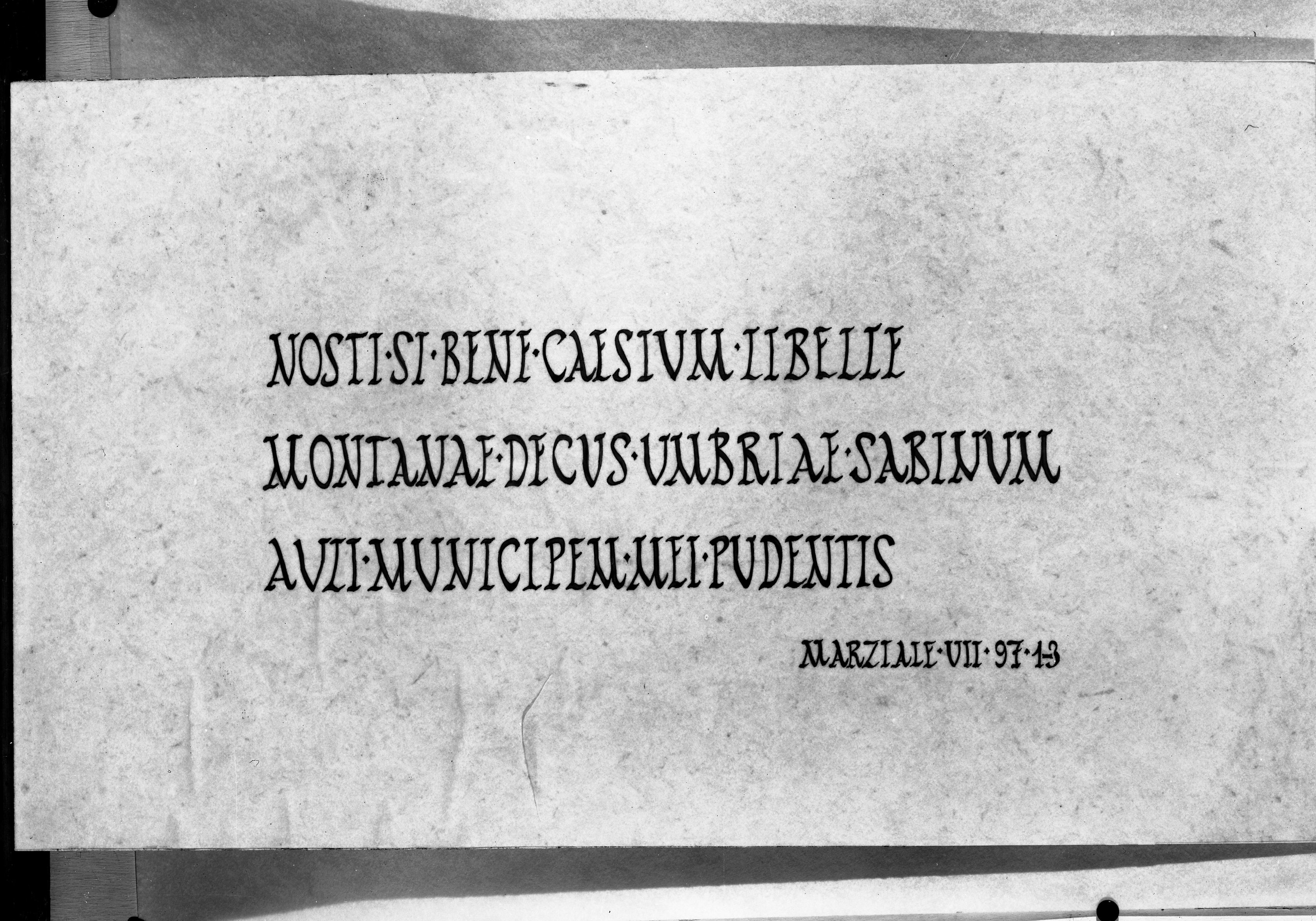Museo Nazionale di Sarsina (lastra) di Anonimo (seconda metà XX)