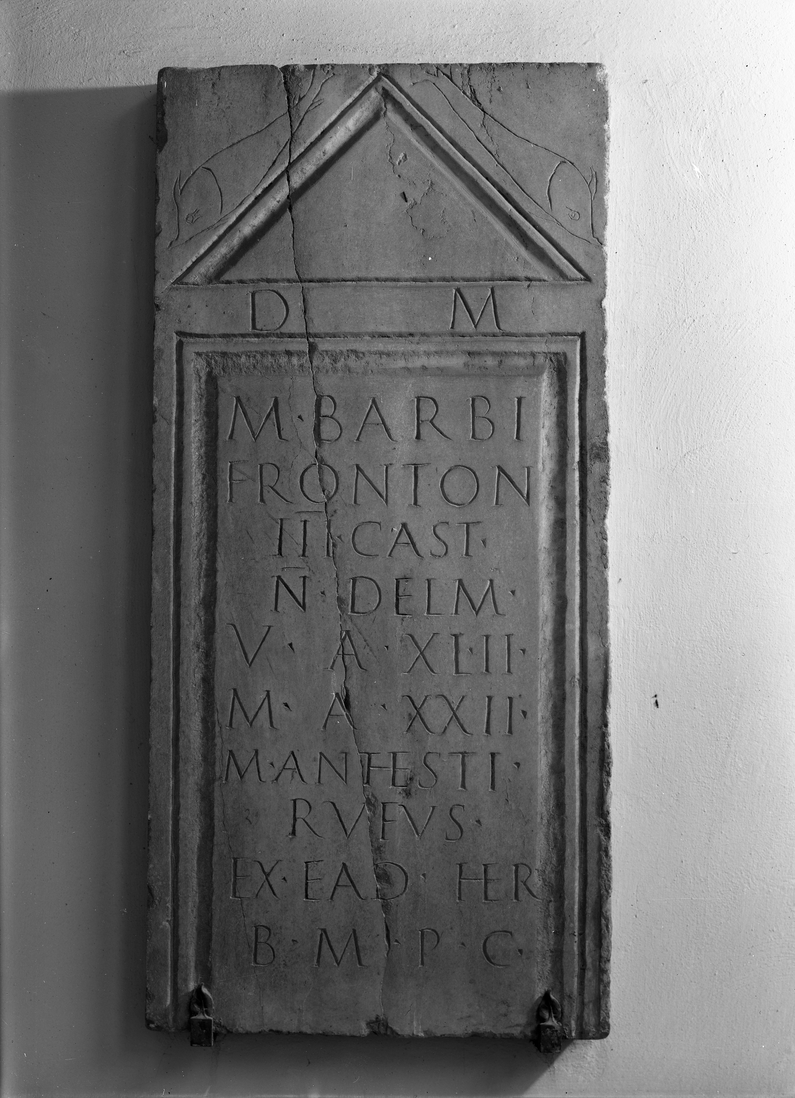 Museo Nazionale di Ravenna (lastra) di Anonimo (seconda metà XX)