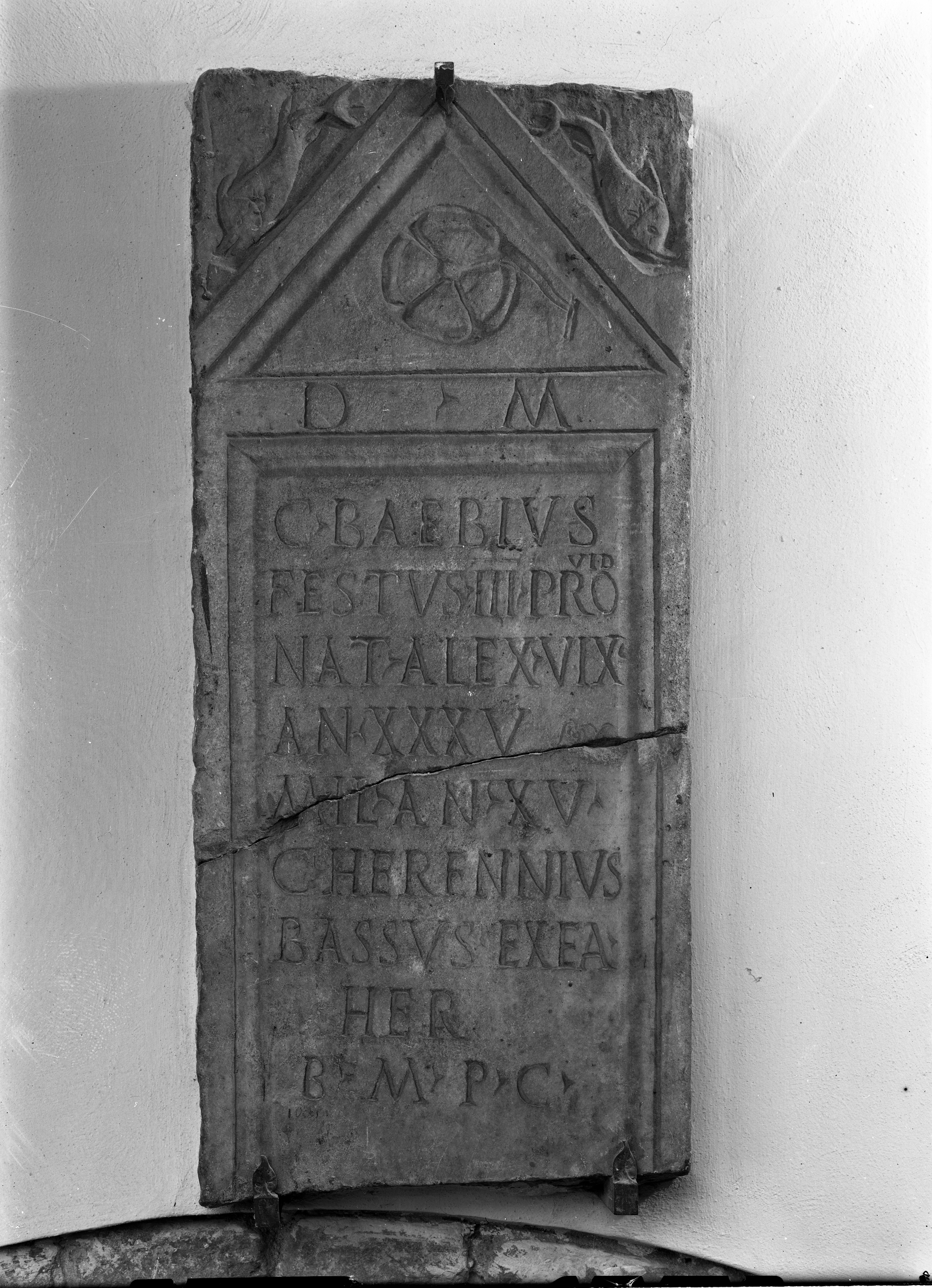 Museo Nazionale di Ravenna (lastra) di Anonimo (seconda metà XX)