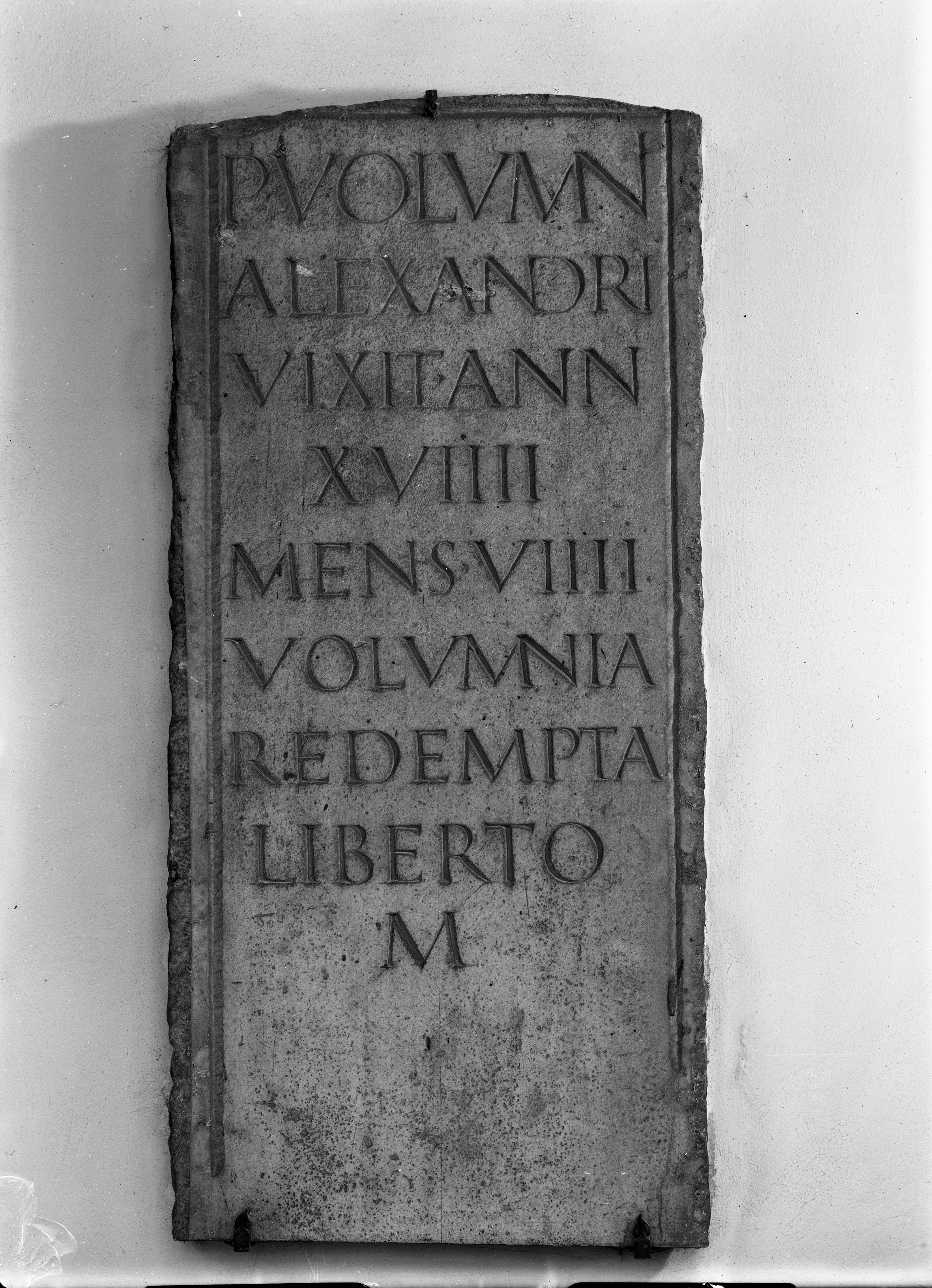 Museo Nazionale di Ravenna (lastra) di Anonimo (seconda metà XX)