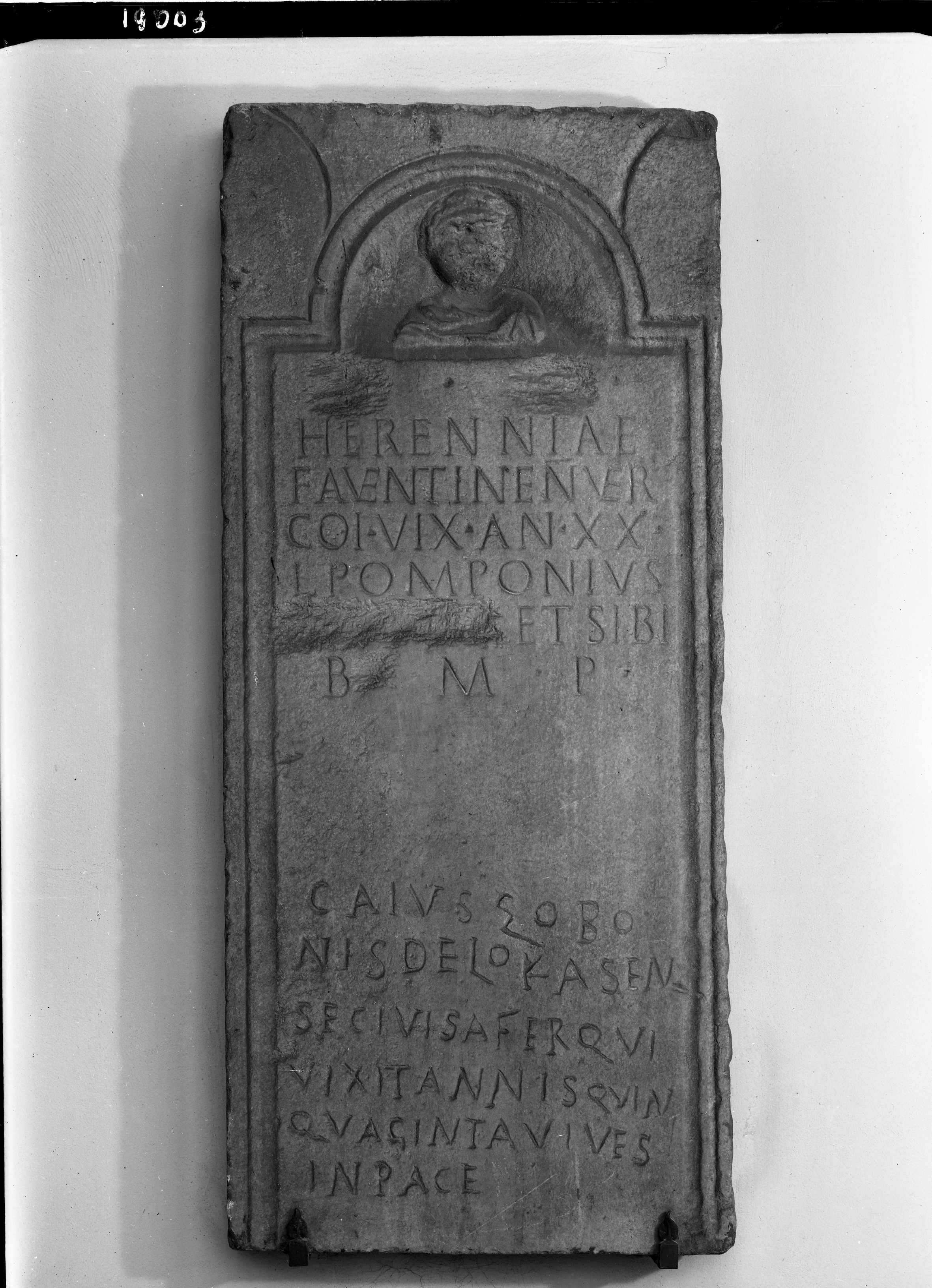 Museo Nazionale di Ravenna (lastra) di Anonimo (seconda metà XX)