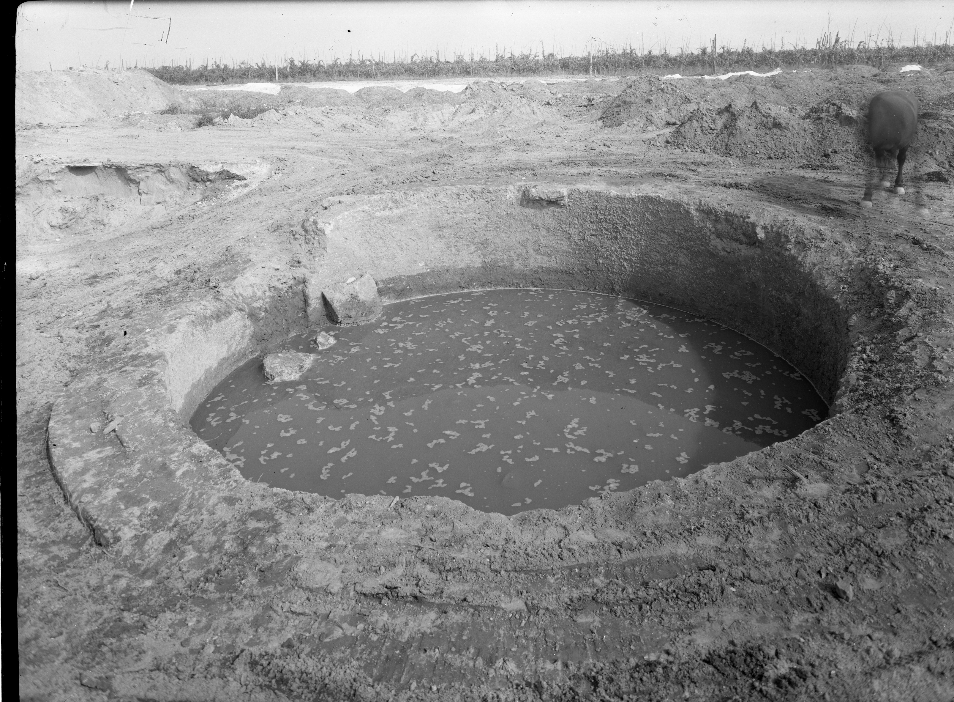 ? (lastra) di Anonimo (seconda metà XX)