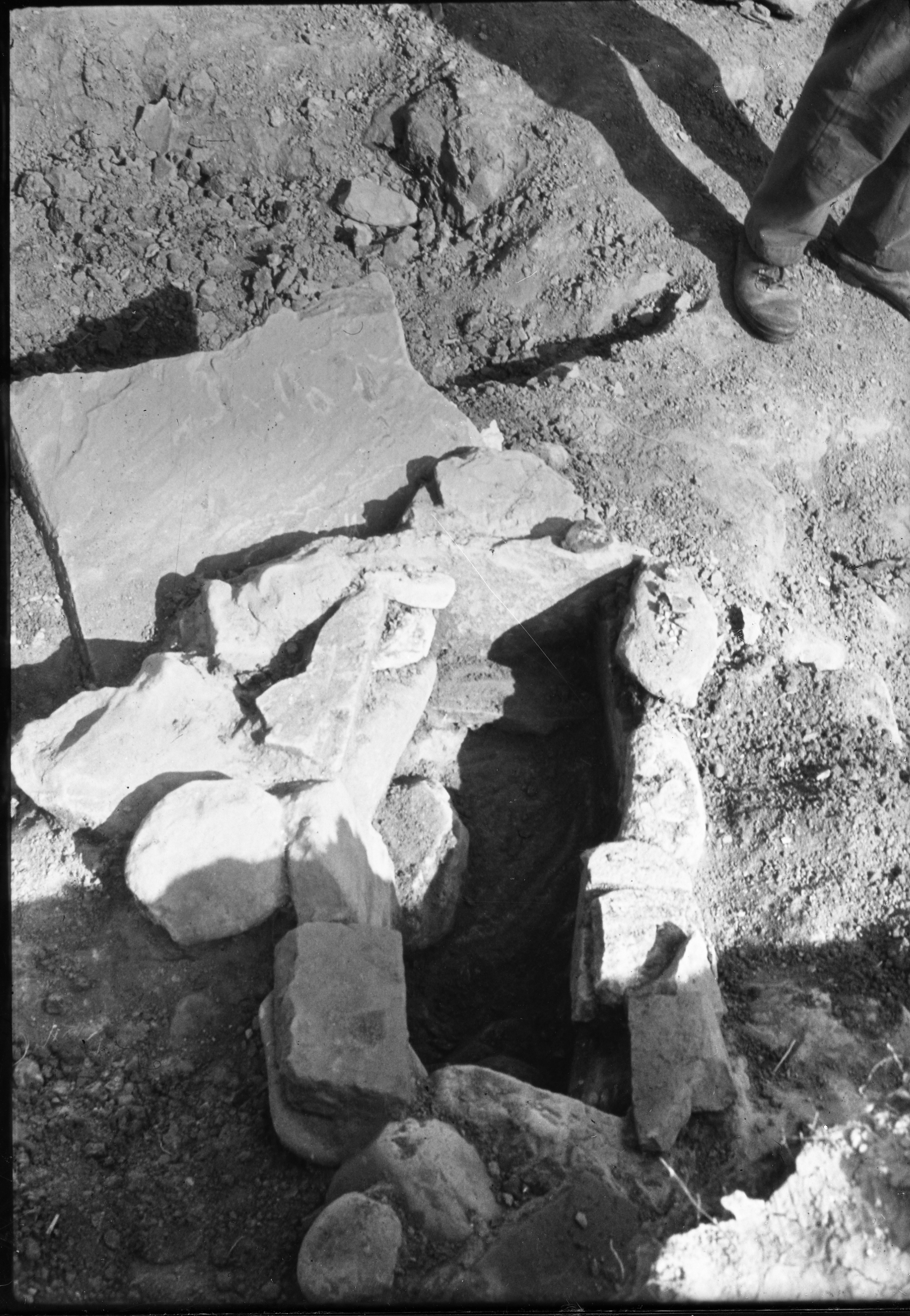 San Martino in Gattara (lastra) di Anonimo (seconda metà XX)