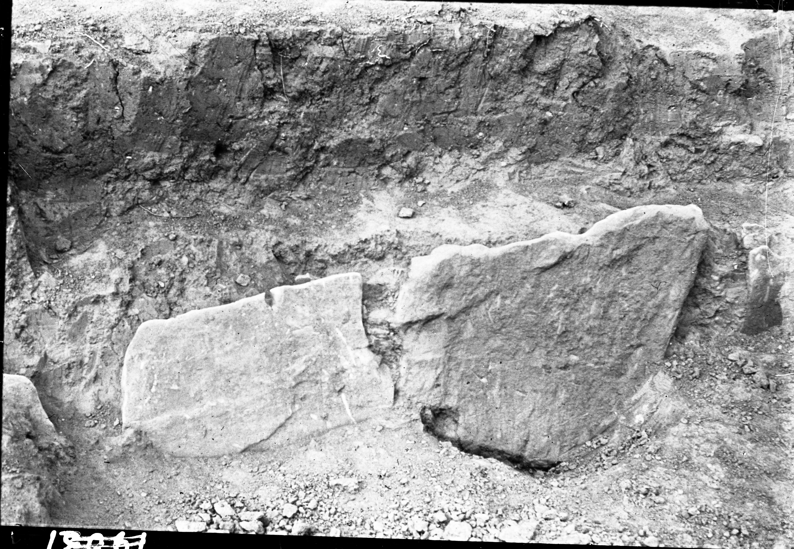 San Martino in Gattara (lastra) di Anonimo (seconda metà XX)