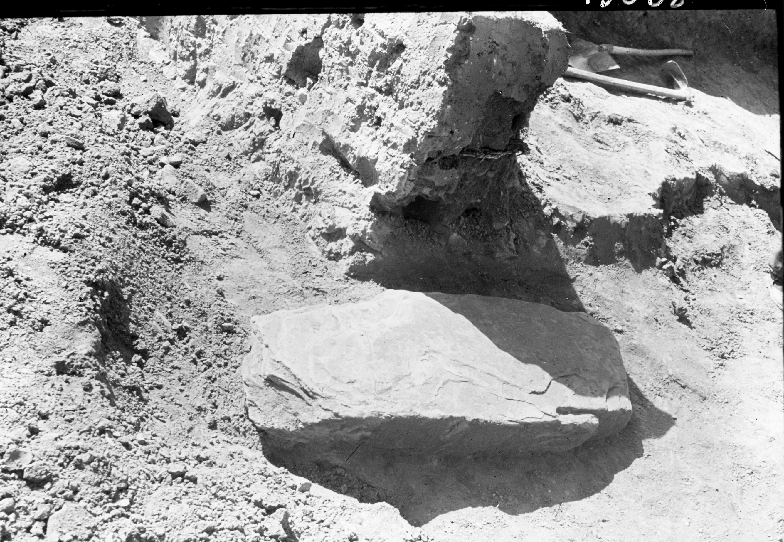 San Martino in Gattara (lastra) di Anonimo (seconda metà XX)