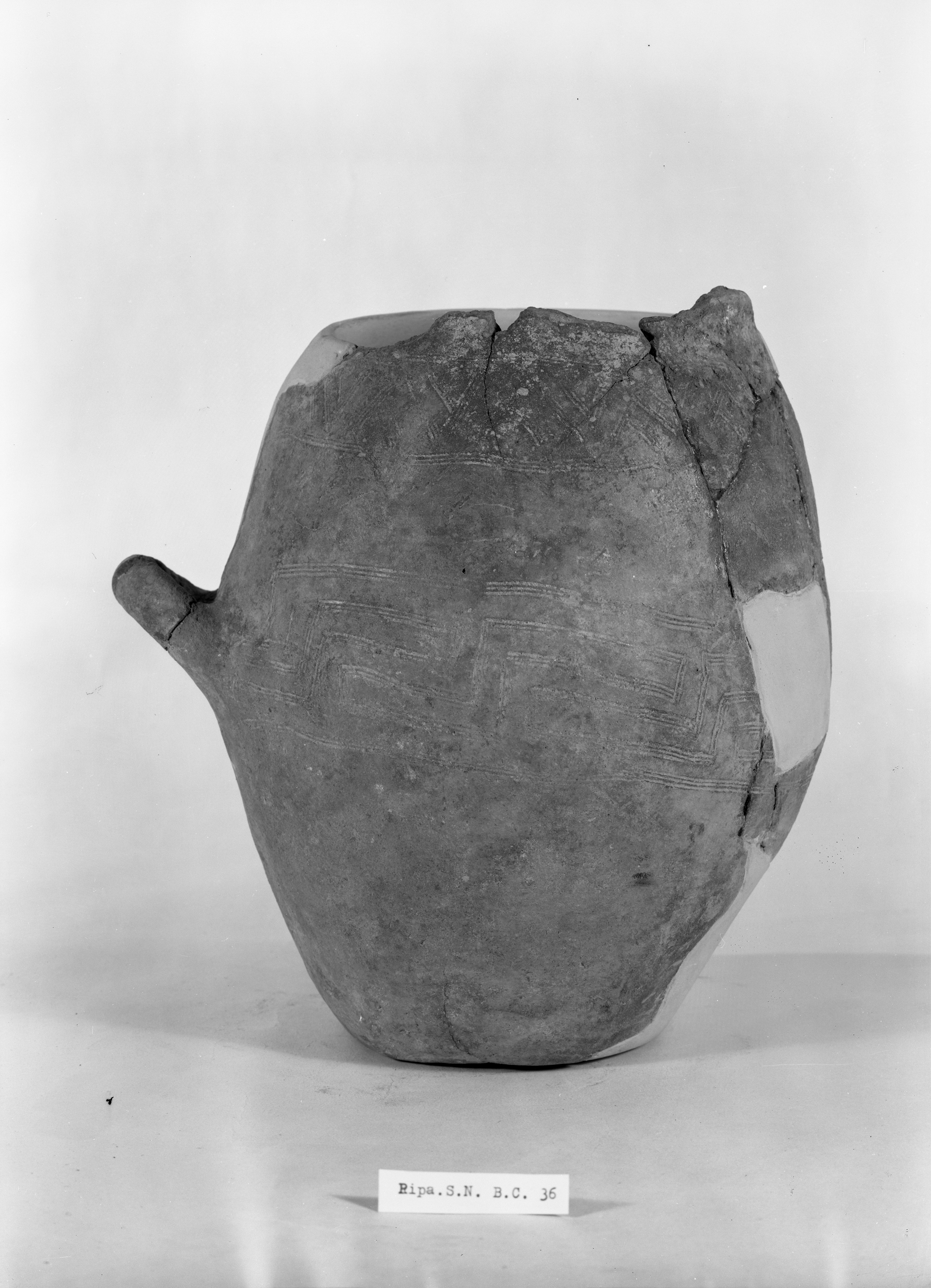 Materiale conservato presso Museo Civico (lastra) di Anonimo (seconda metà XX)