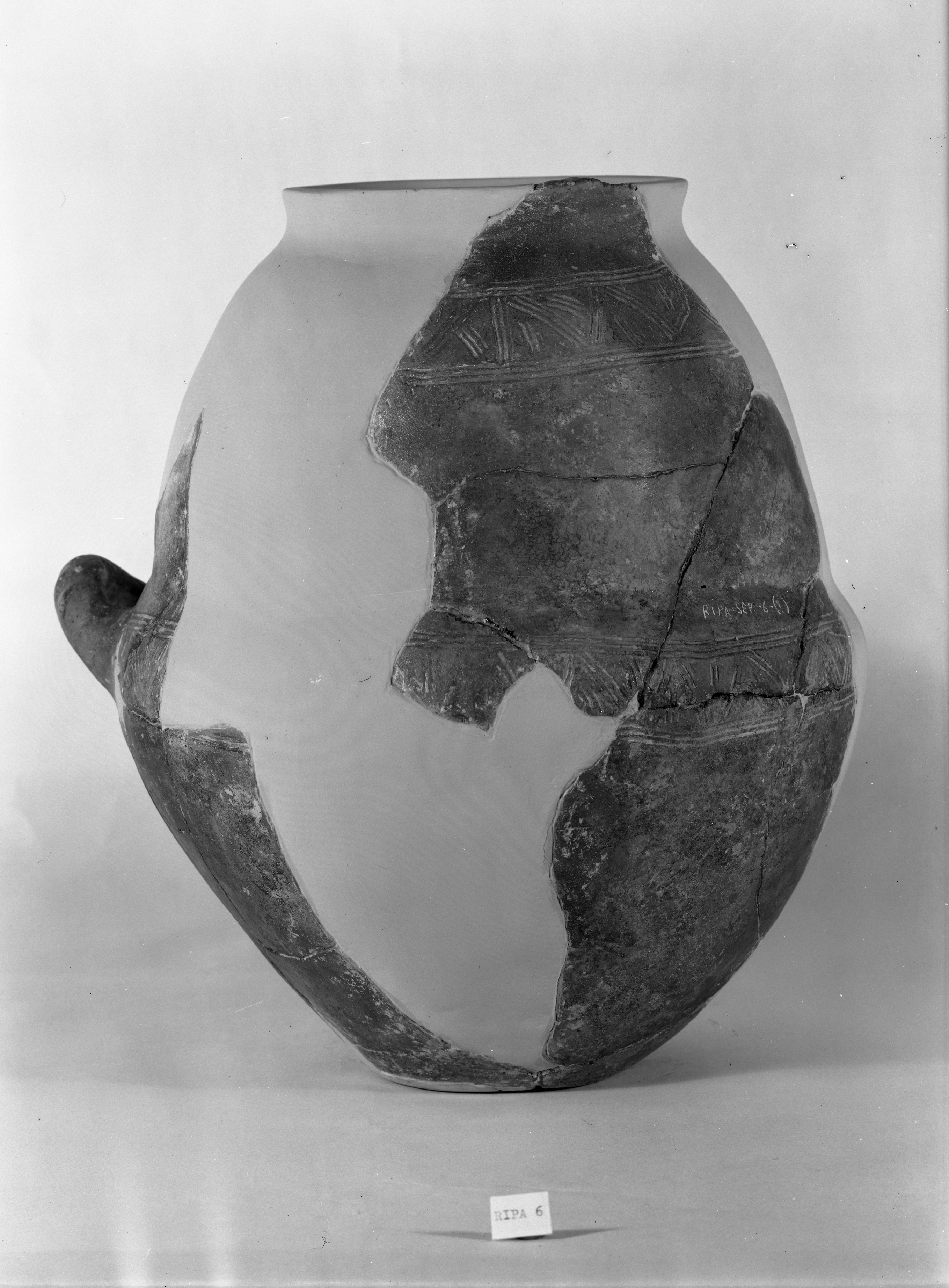 Materiale conservato presso Museo Civico (lastra) di Anonimo (seconda metà XX)