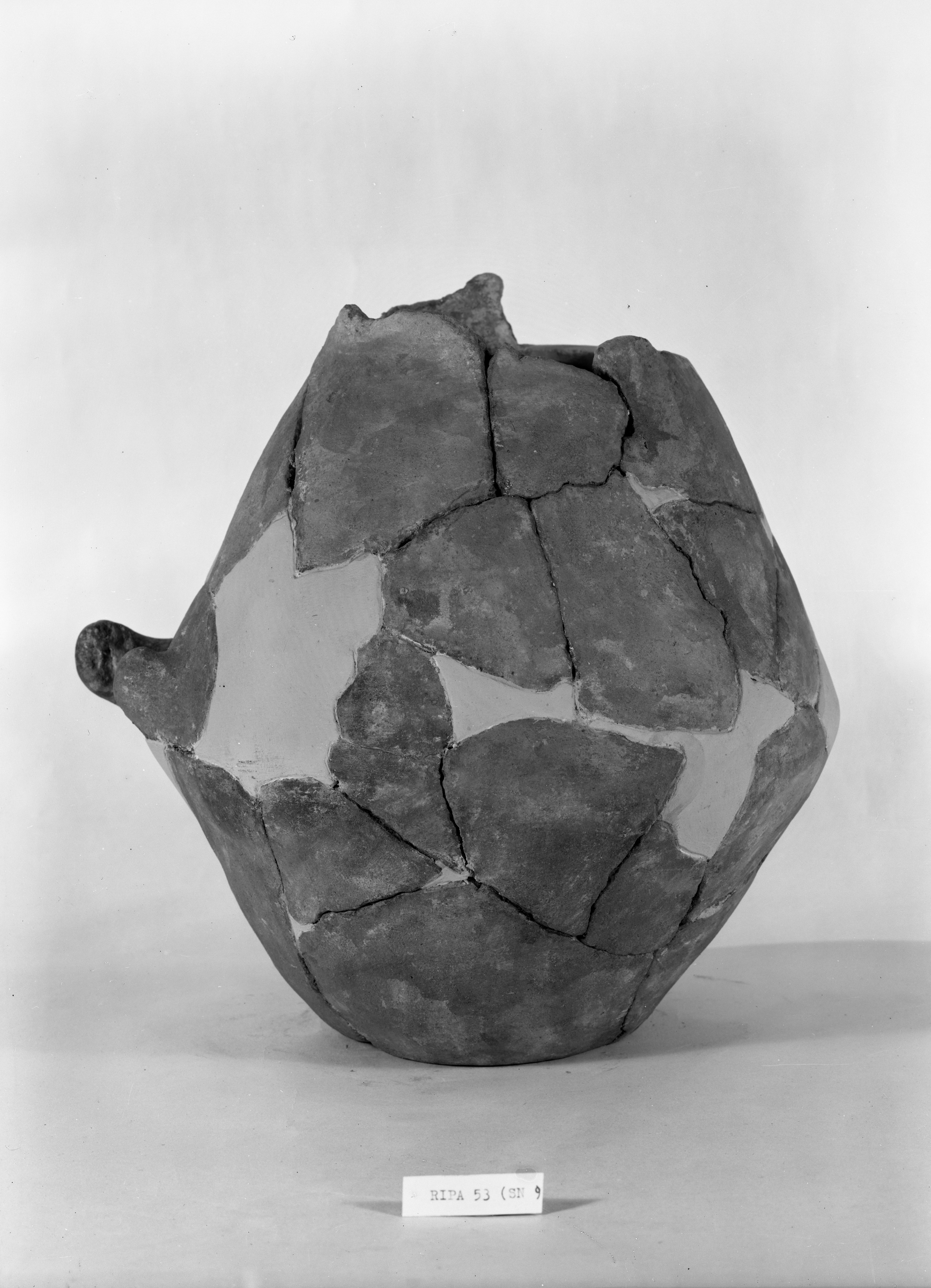 Materiale conservato presso Museo Civico (lastra) di Anonimo (seconda metà XX)