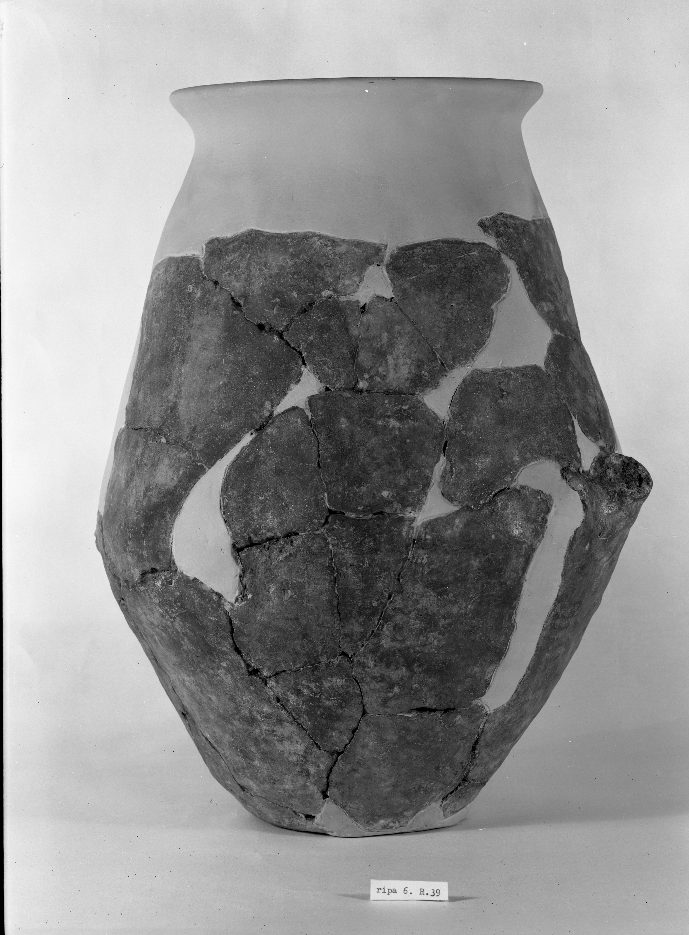 Materiale conservato presso Museo Civico (lastra) di Anonimo (seconda metà XX)