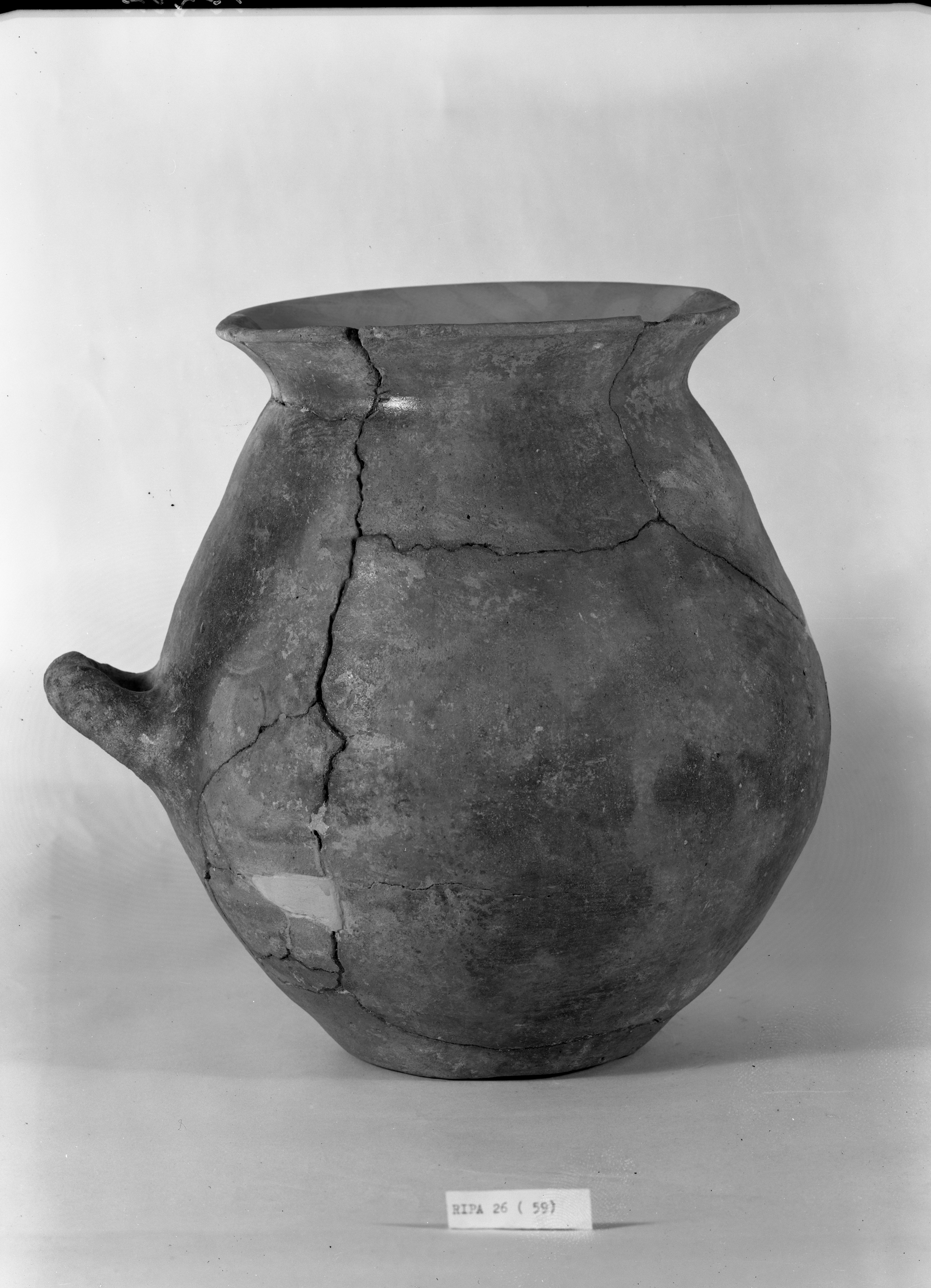 Materiale conservato presso Museo Civico (lastra) di Anonimo (seconda metà XX)