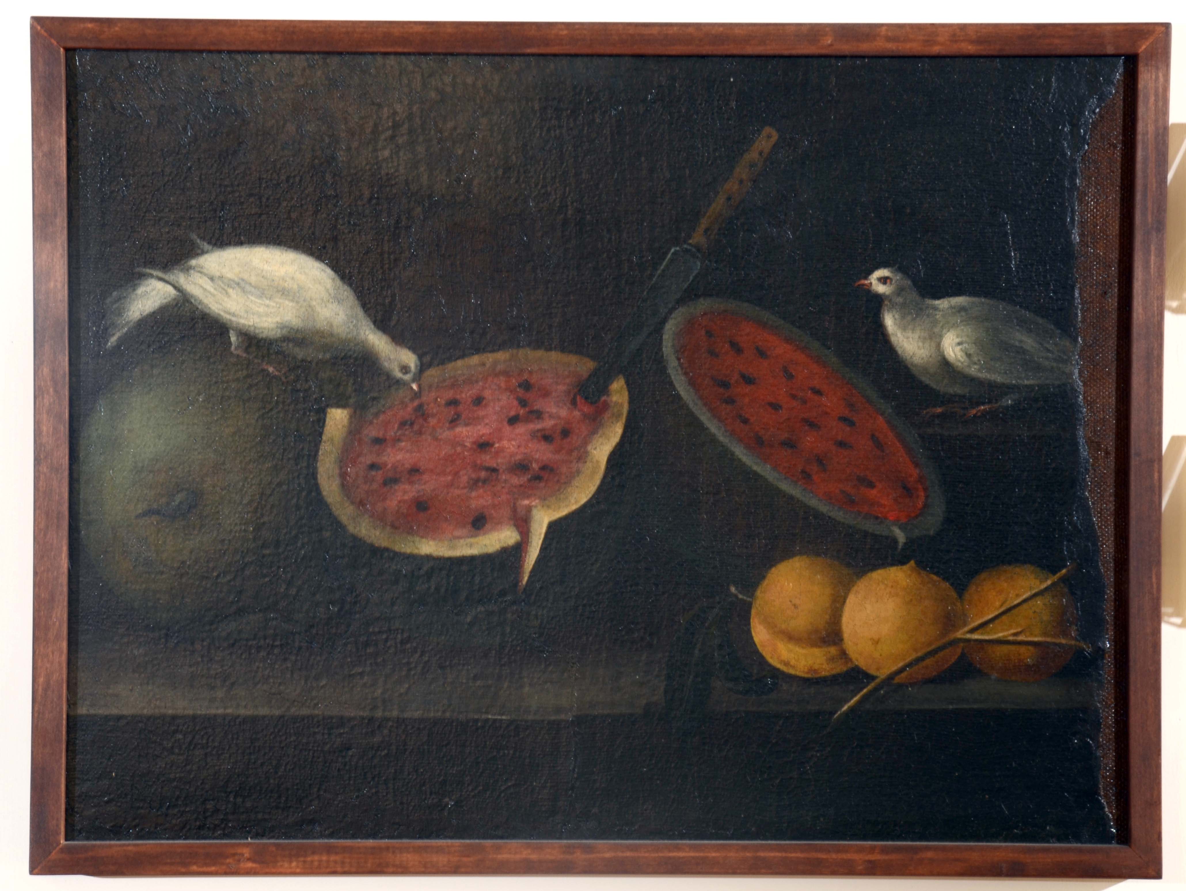 angurie e colombe, natura morta (dipinto) di ignoto pittore meridionale (attribuito) - ambito napoletano (seconda metà XVIII)
