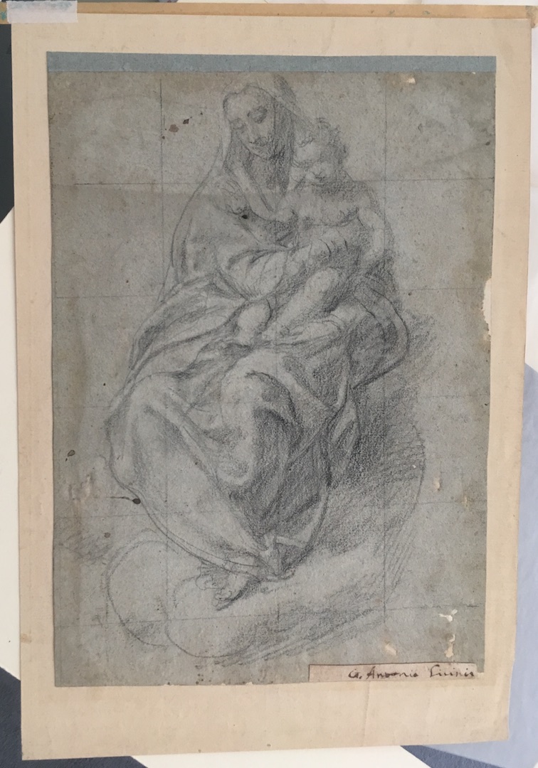 Madonna con Bambino assisa su una nube (disegno preparatorio, opera isolata) di Siciolante Girolamo da Sermoneta (sec. XVI)