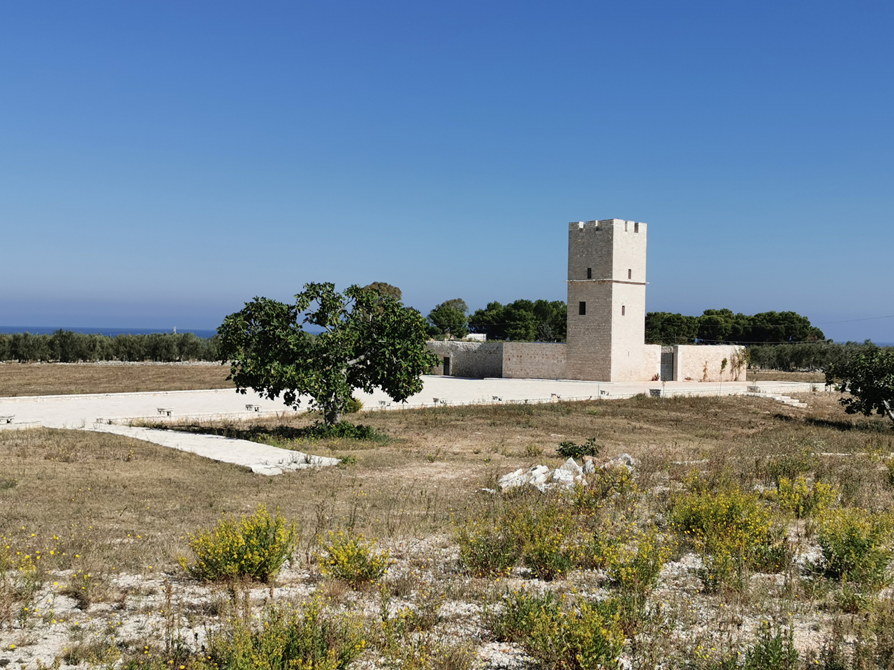 Torre delle Pietre Rosse (torre, difensiva, di avvistamento) - Giovinazzo (BA) 