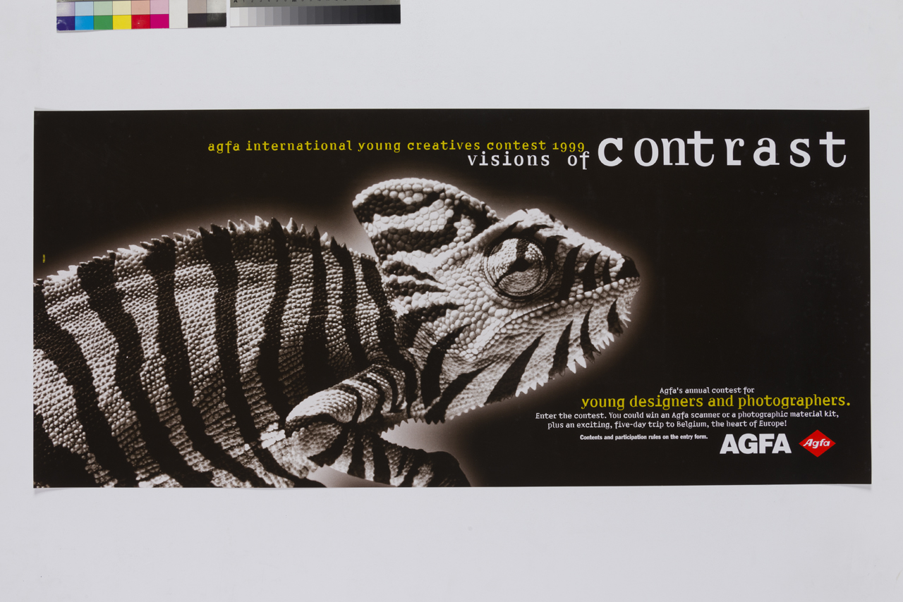 camaleonte (manifesto) - ambito belga (XX)