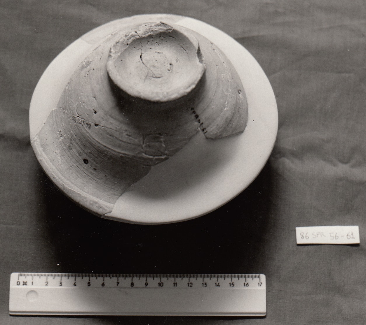 scodella - produzione savonese (XIII sec. d.C)