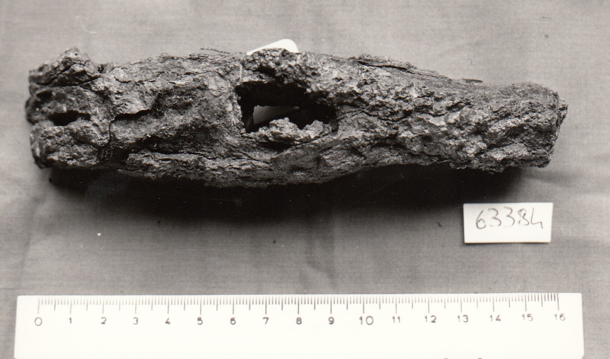 testa di martello (XIII sec. d.C)