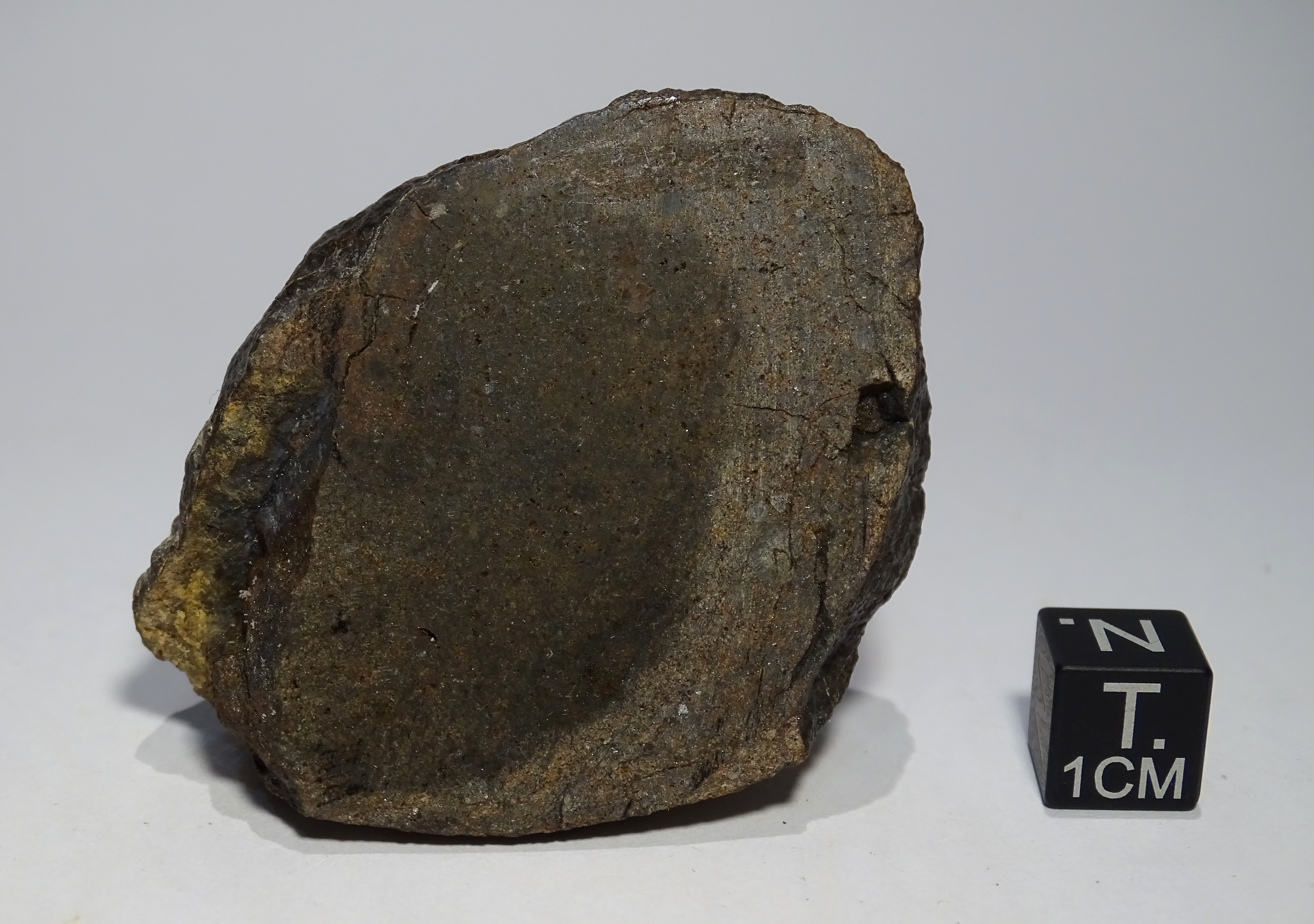 Meteorite/ Condrite Ordinaria / Dar al Gani 686 (esemplare)