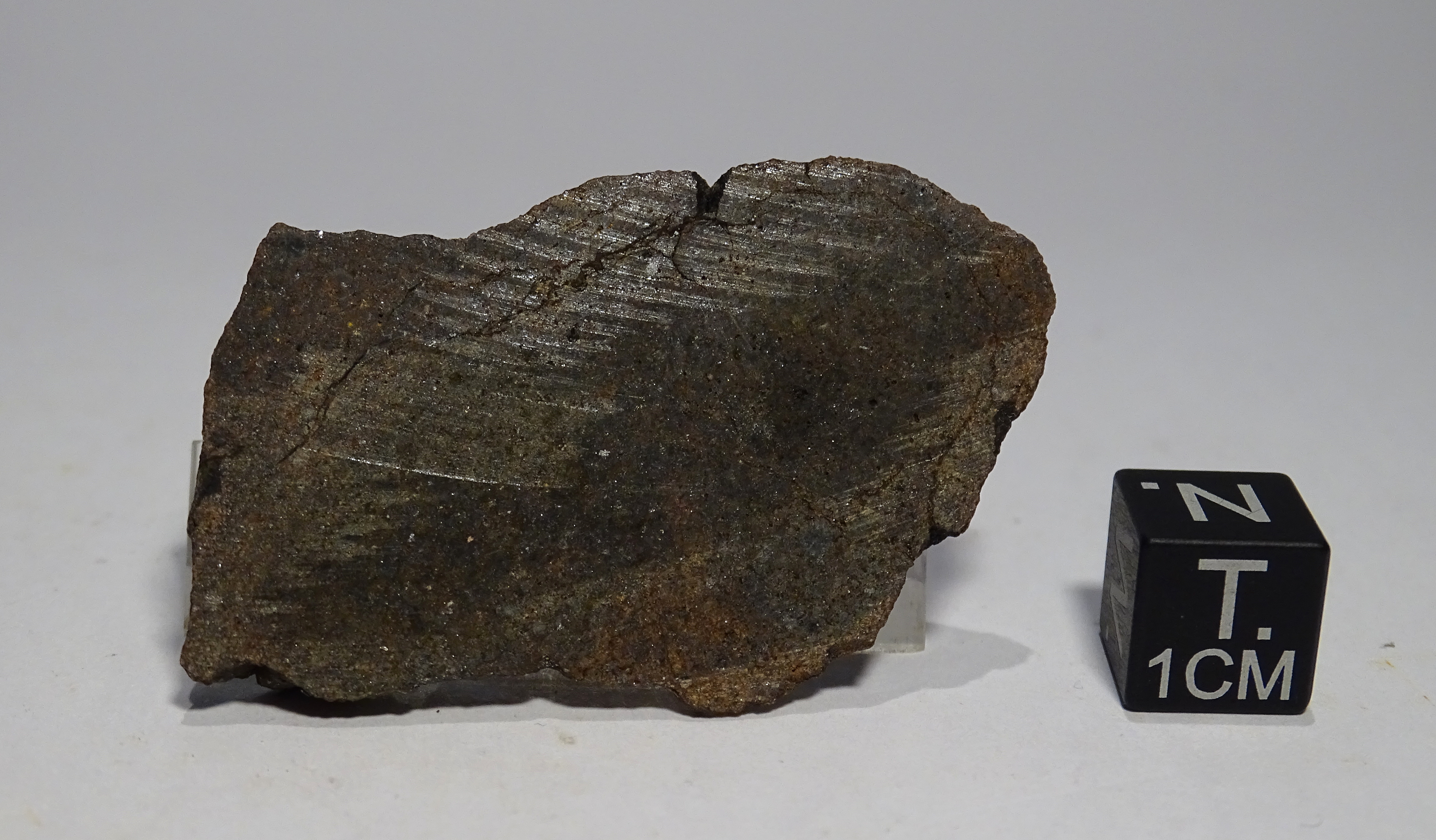 Meteorite/ Condrite Ordinaria / Dar al Gani 686 (esemplare)