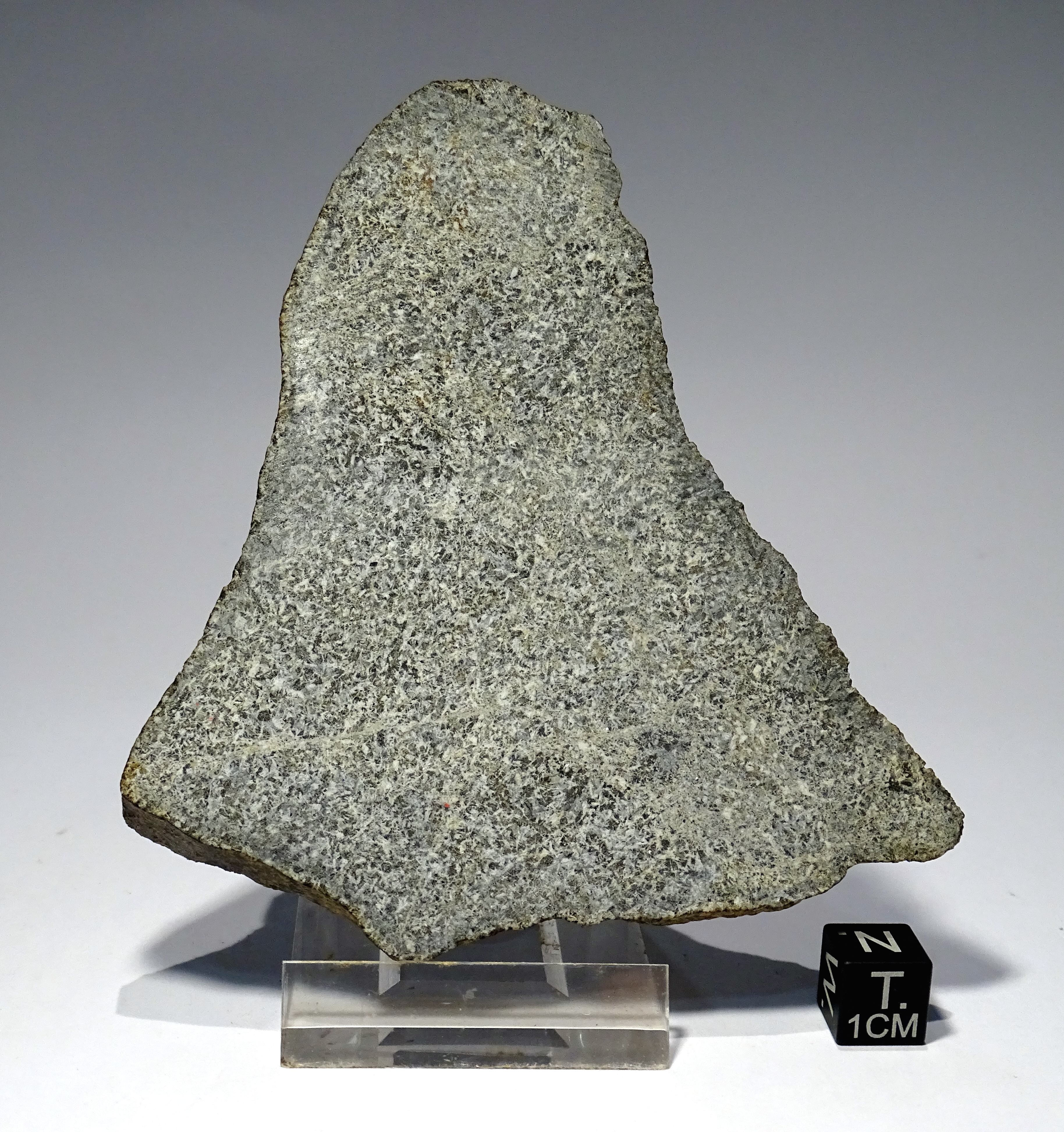 Meteorite/ Eucrite/ Dar al Gani 684 (esemplare)